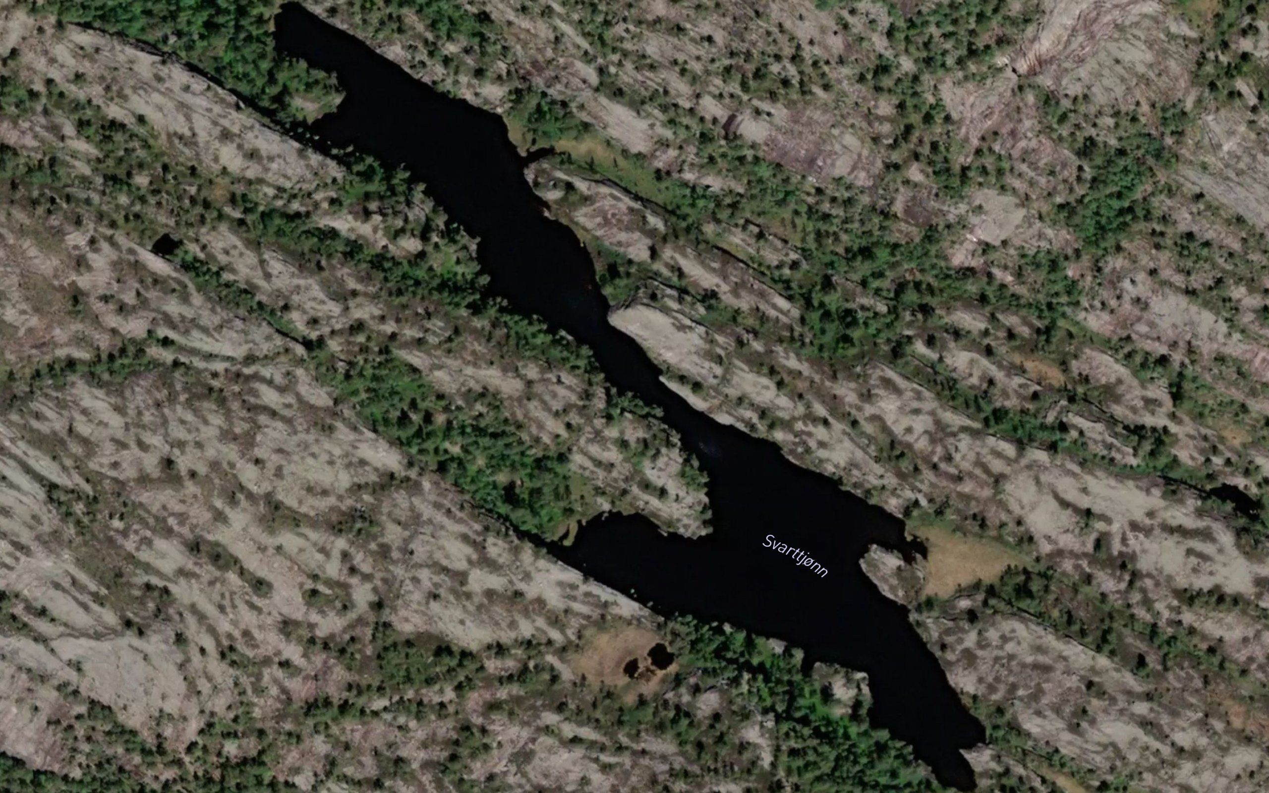 Svarttjorn