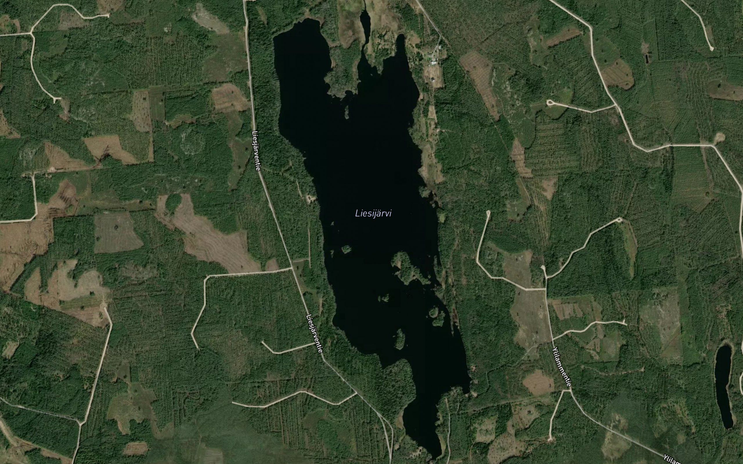 Liesijarvi
