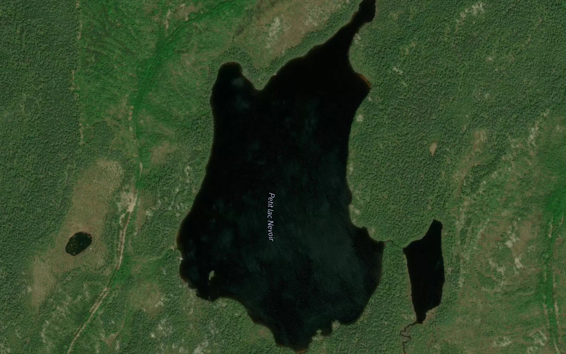 Satellite map of the Petit lac Nevoir