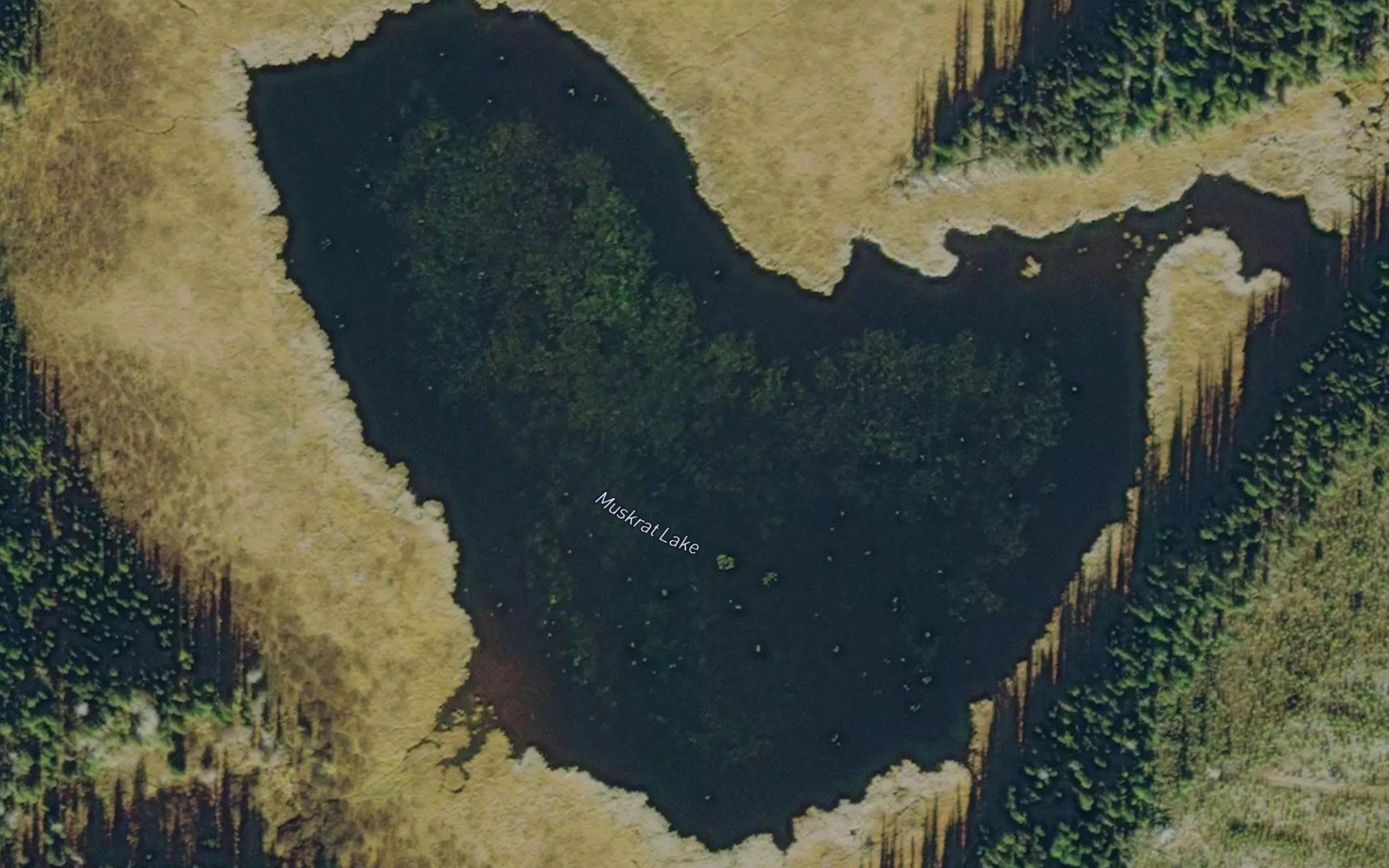 Muskrat Lake