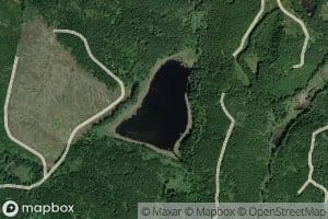 Bridges Lake