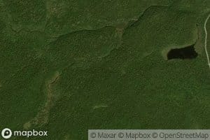 Swamp Brook