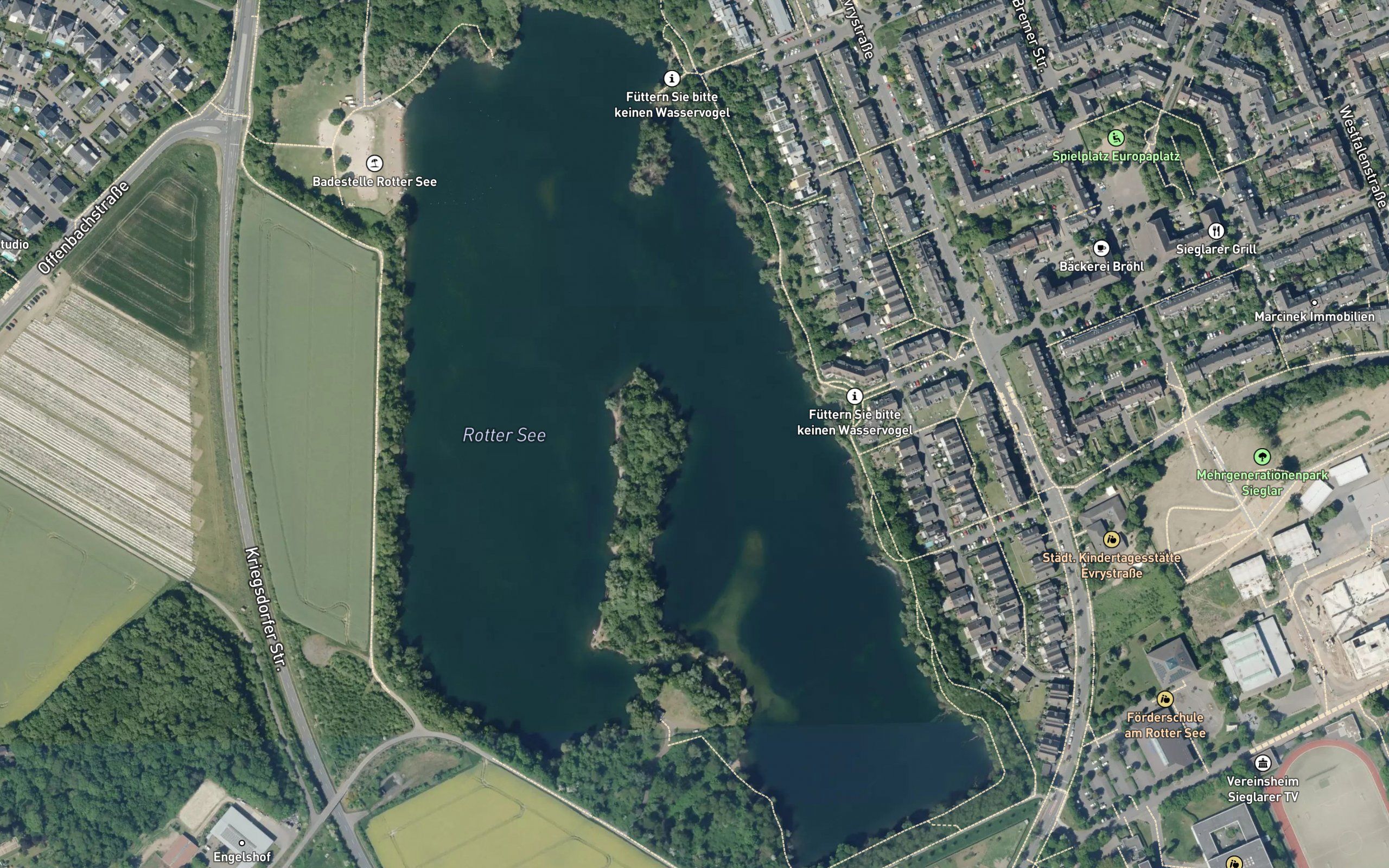 Rotter See
