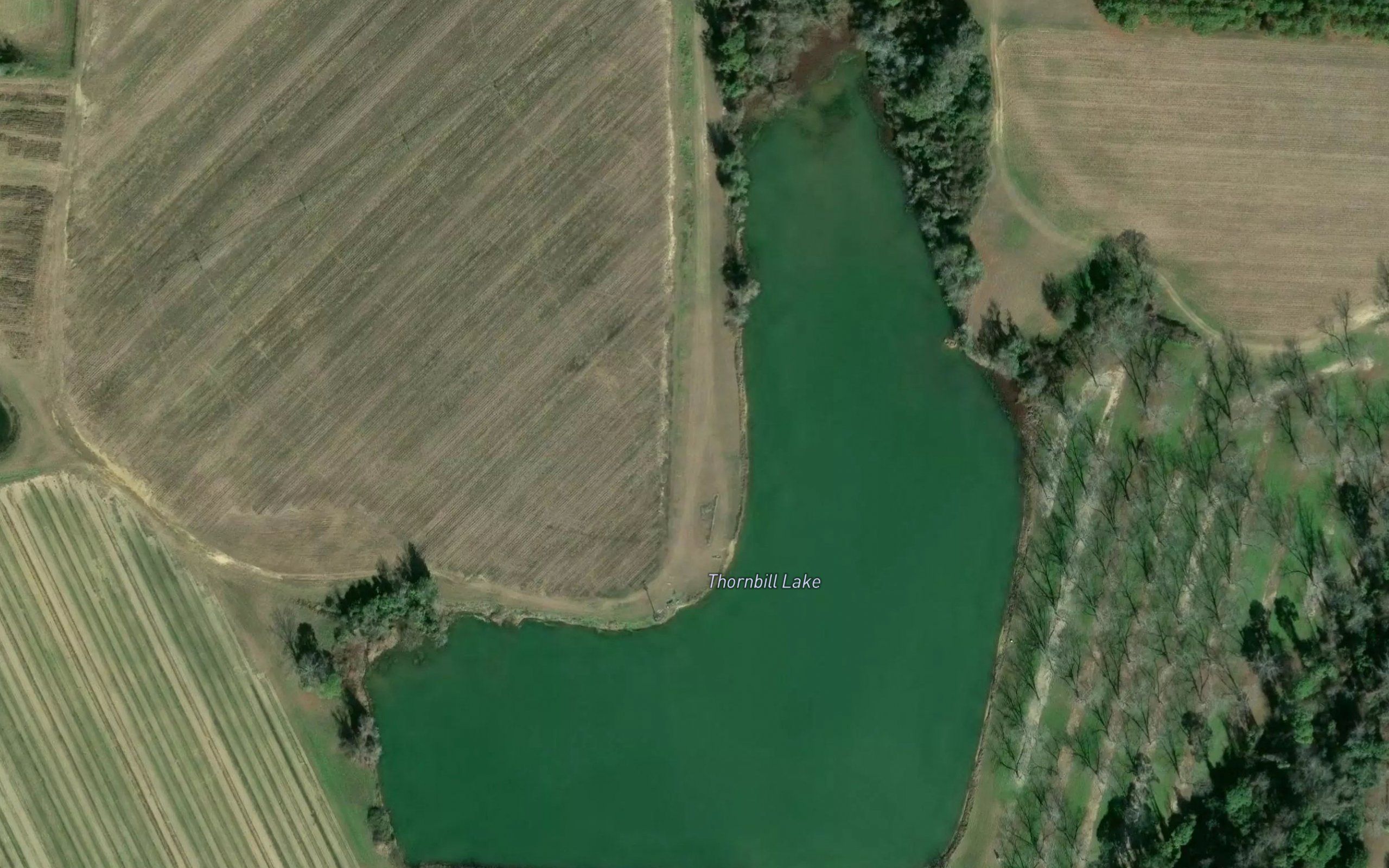 Thornbill Lake