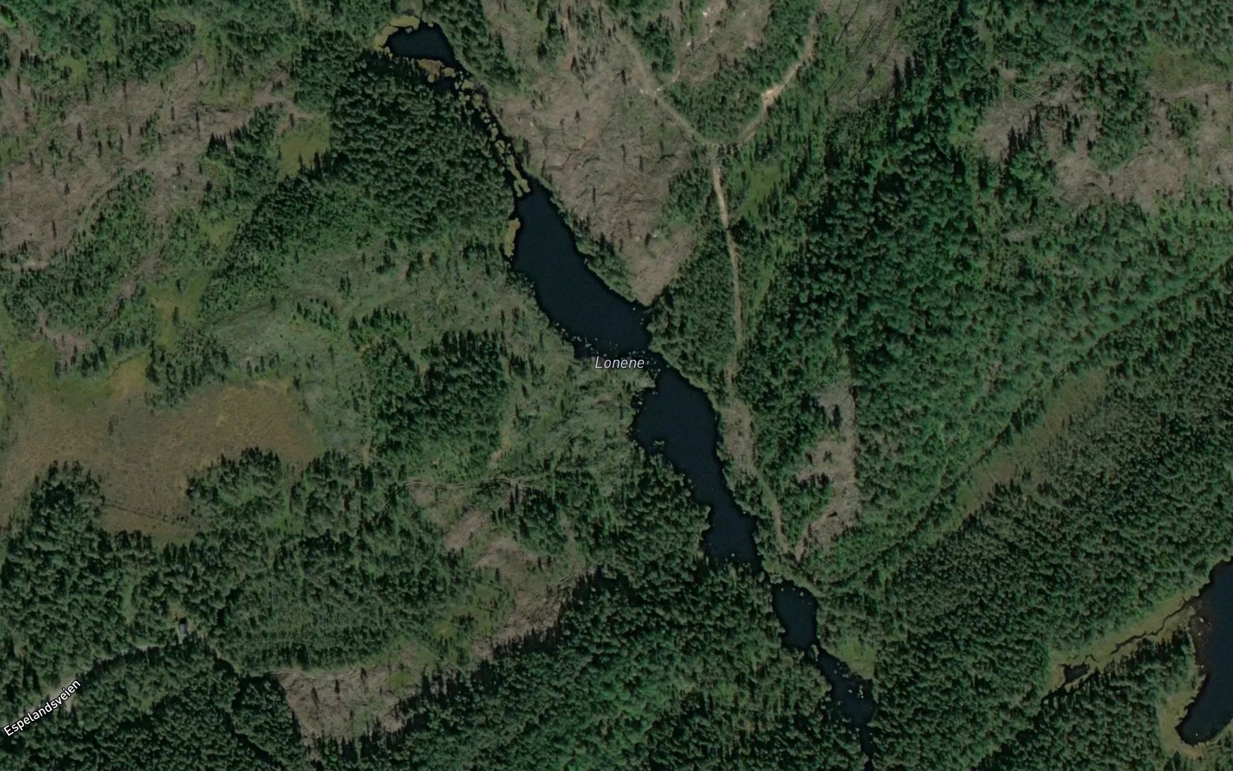 Satellite map of the Espelandslonene
