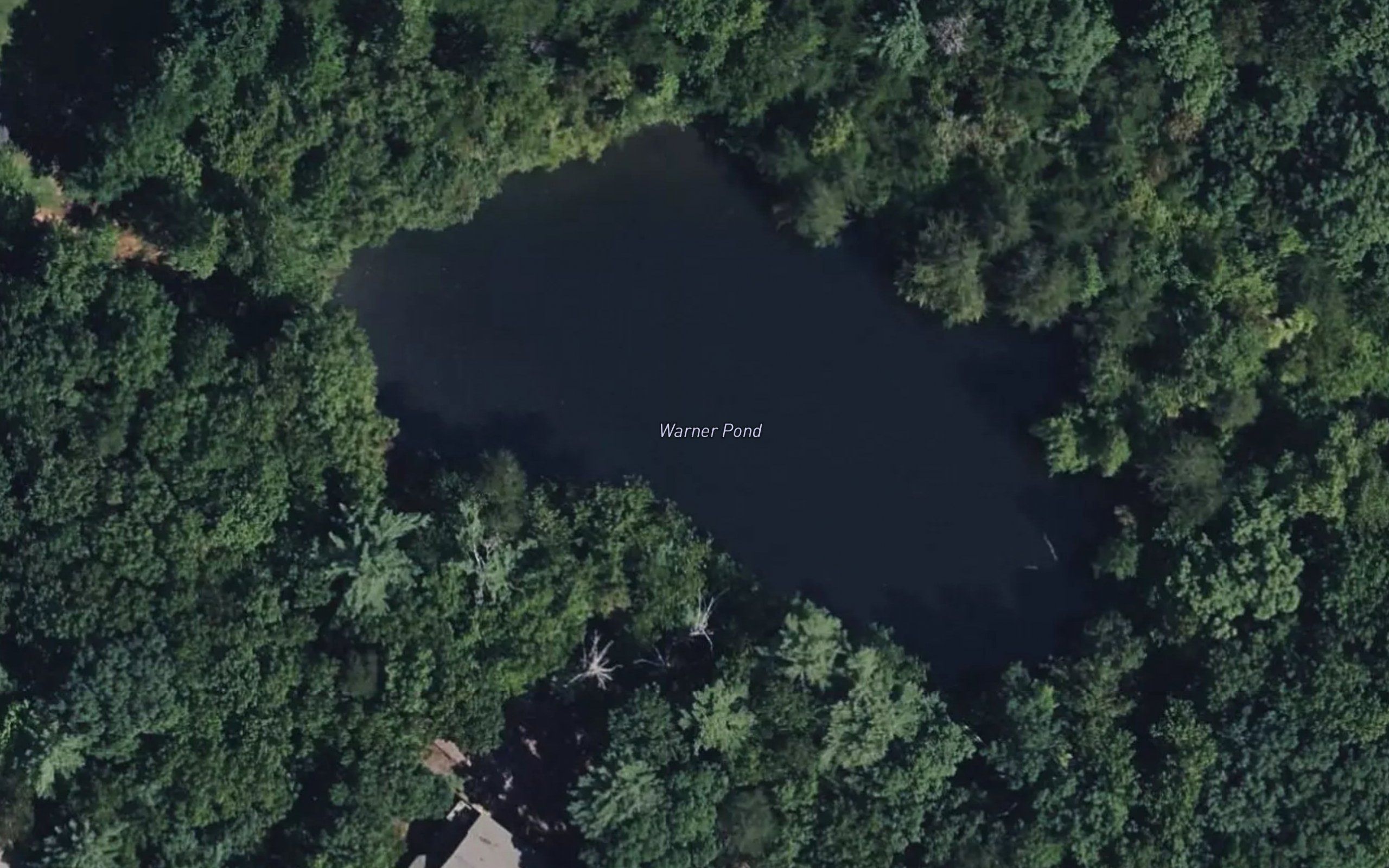 Warner Pond