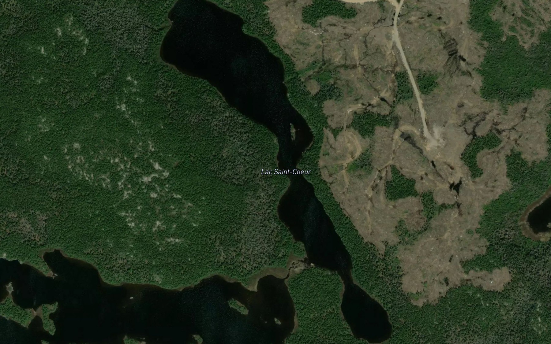 Satellite map of the Lac Saint-Coeur