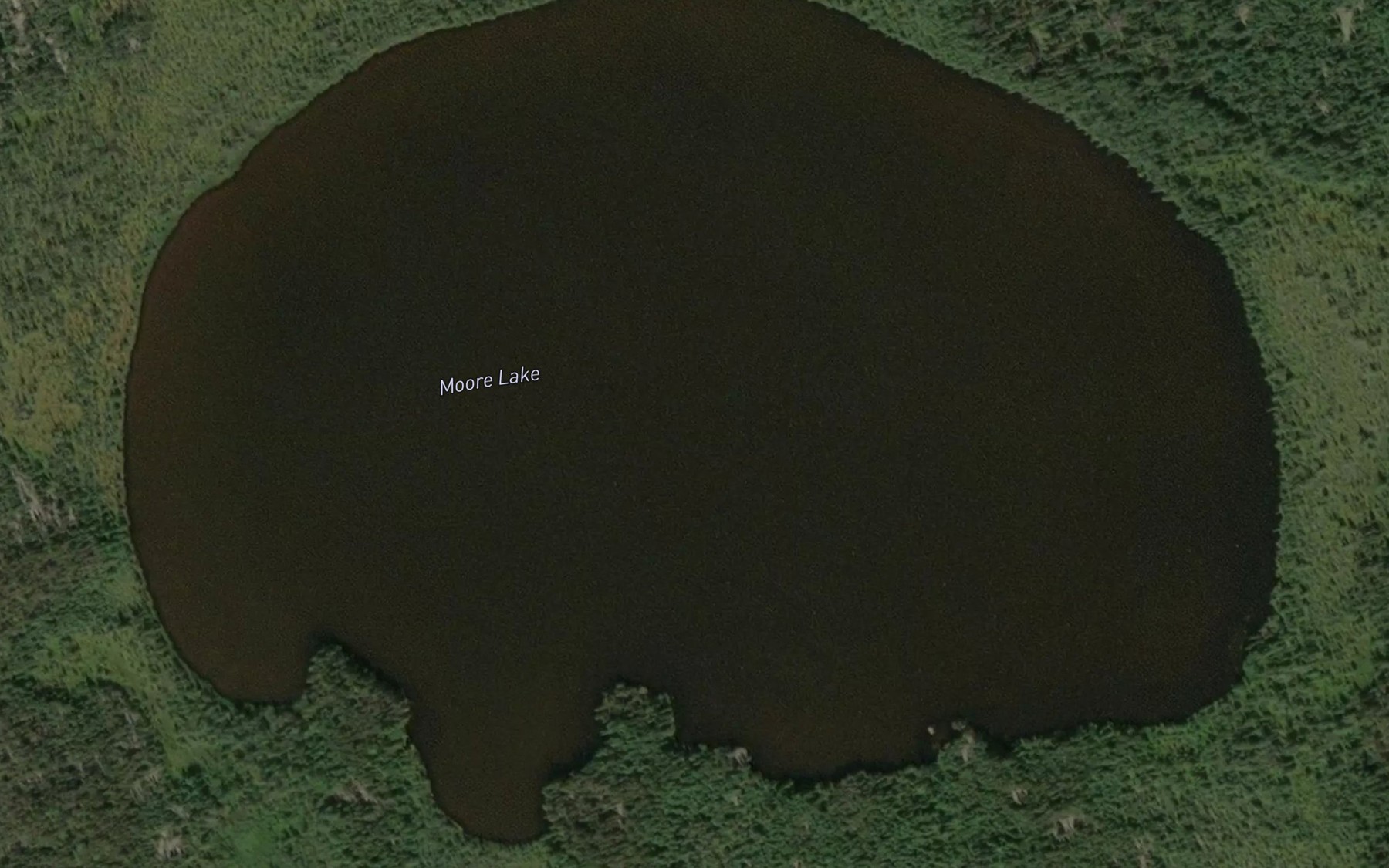 Satellite map of the Moore Lake