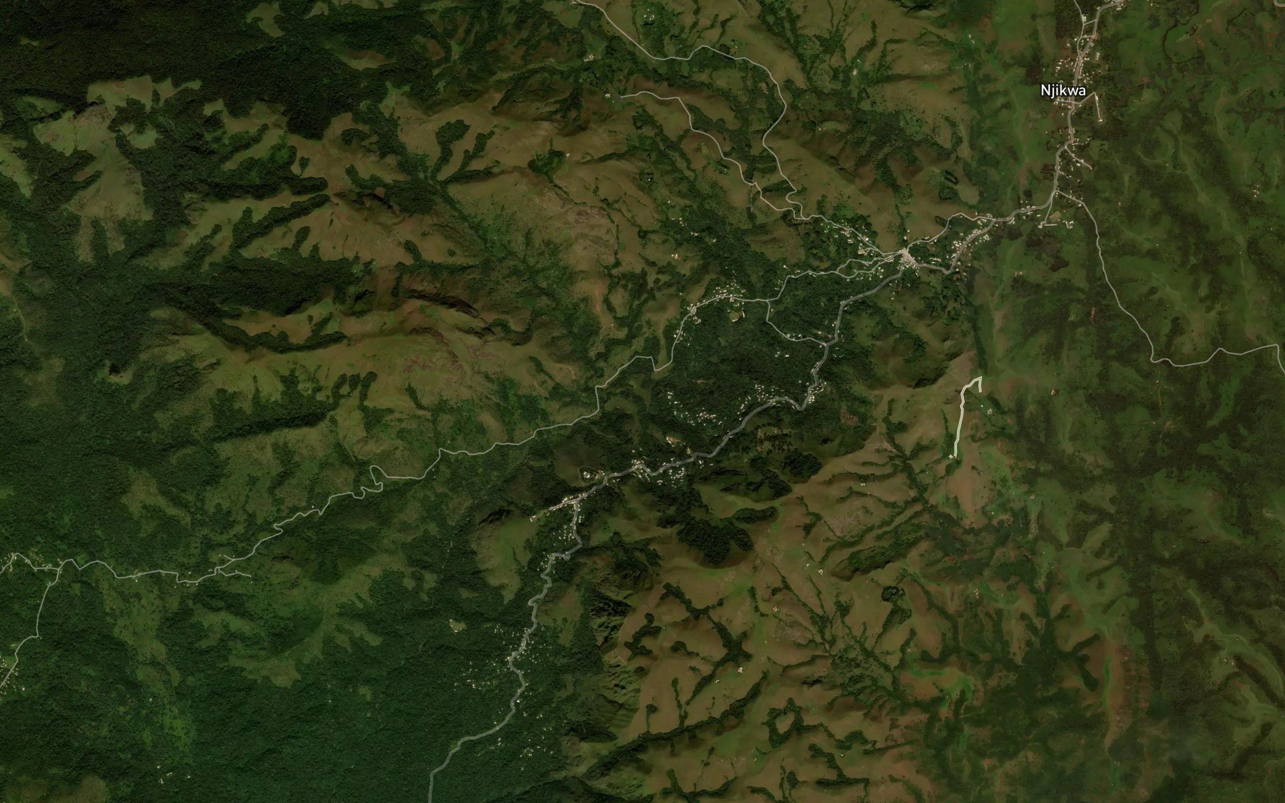 Aufo