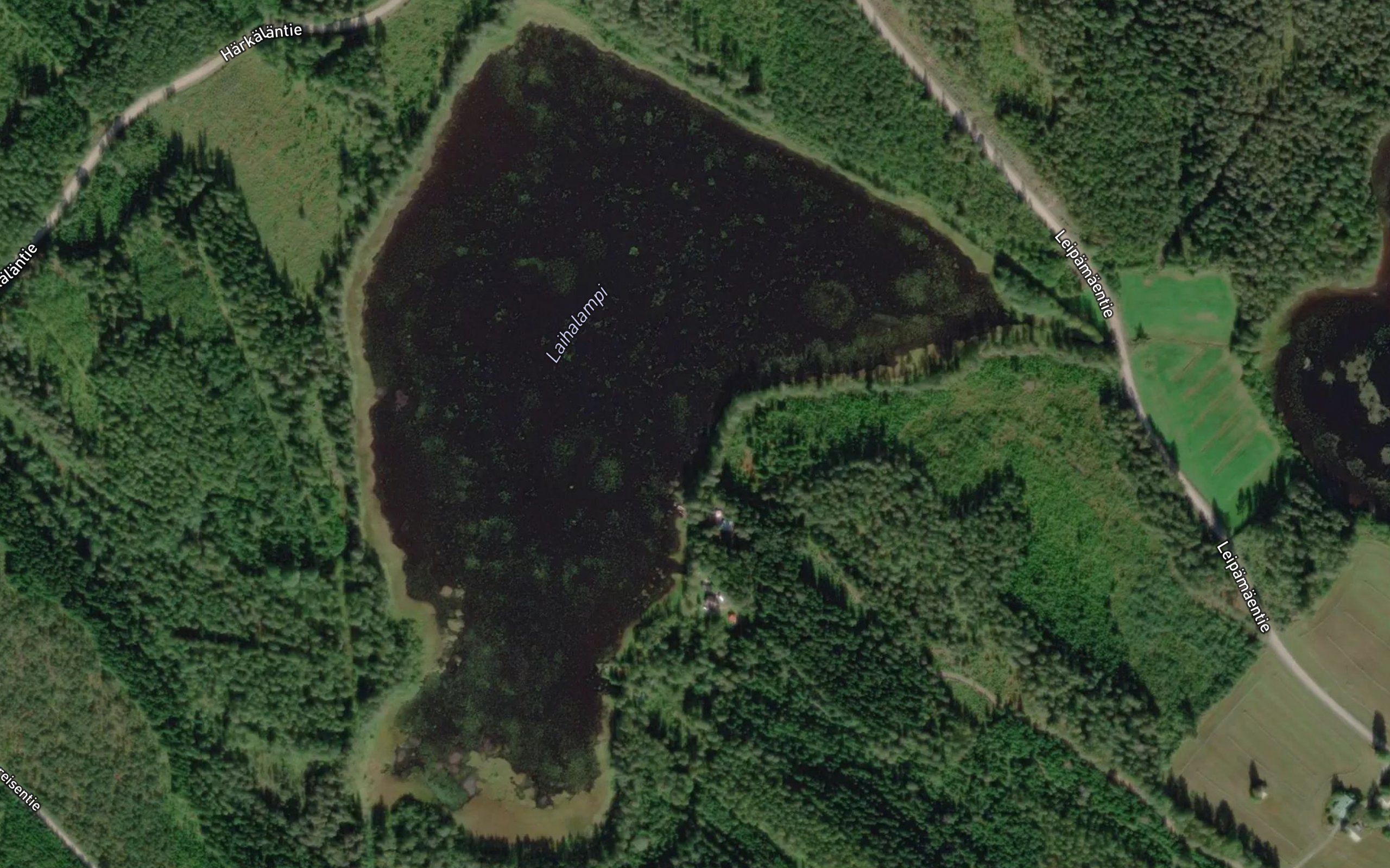 Laihalampi