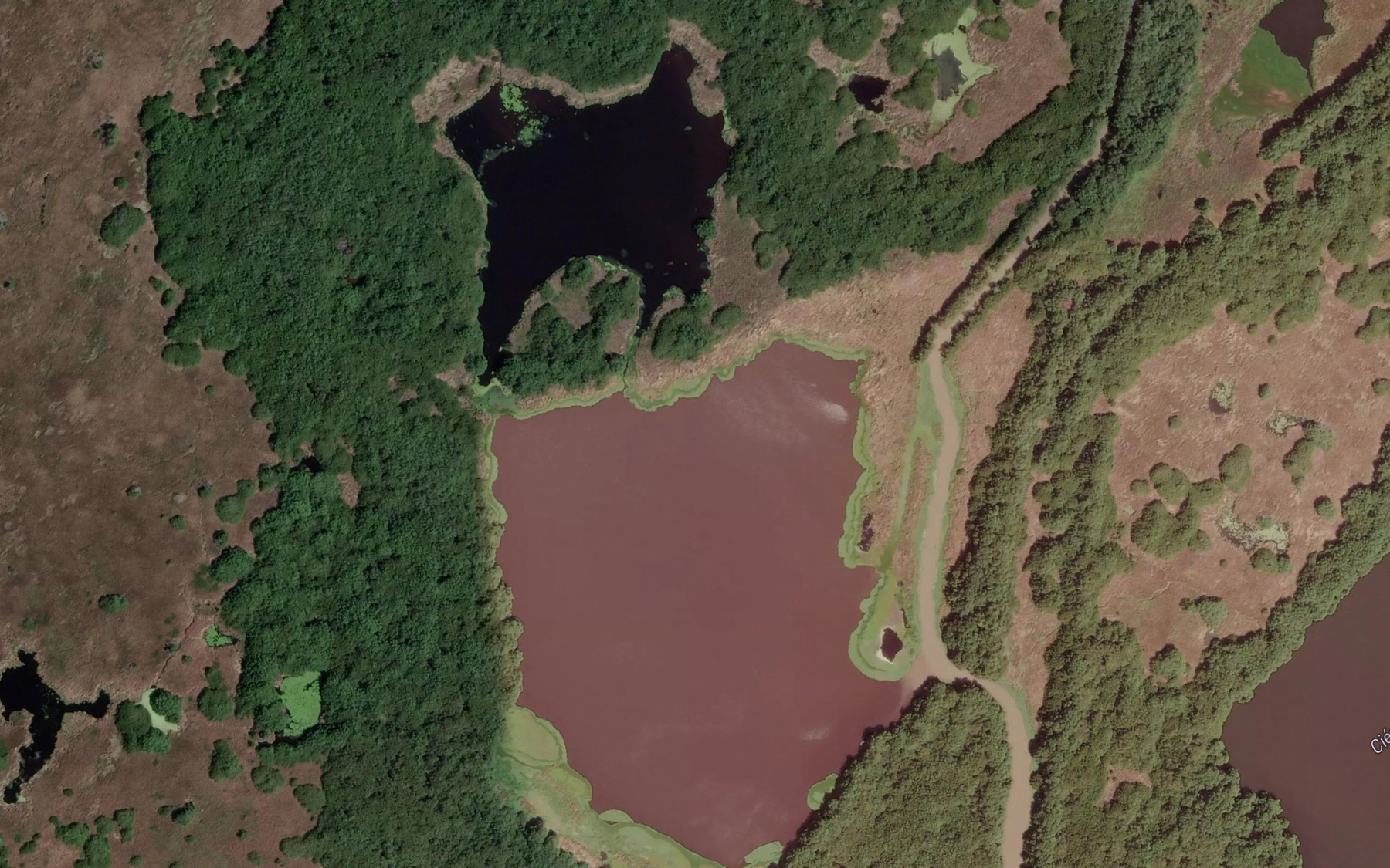 Satellite map of the Cienaga Los Boquerones