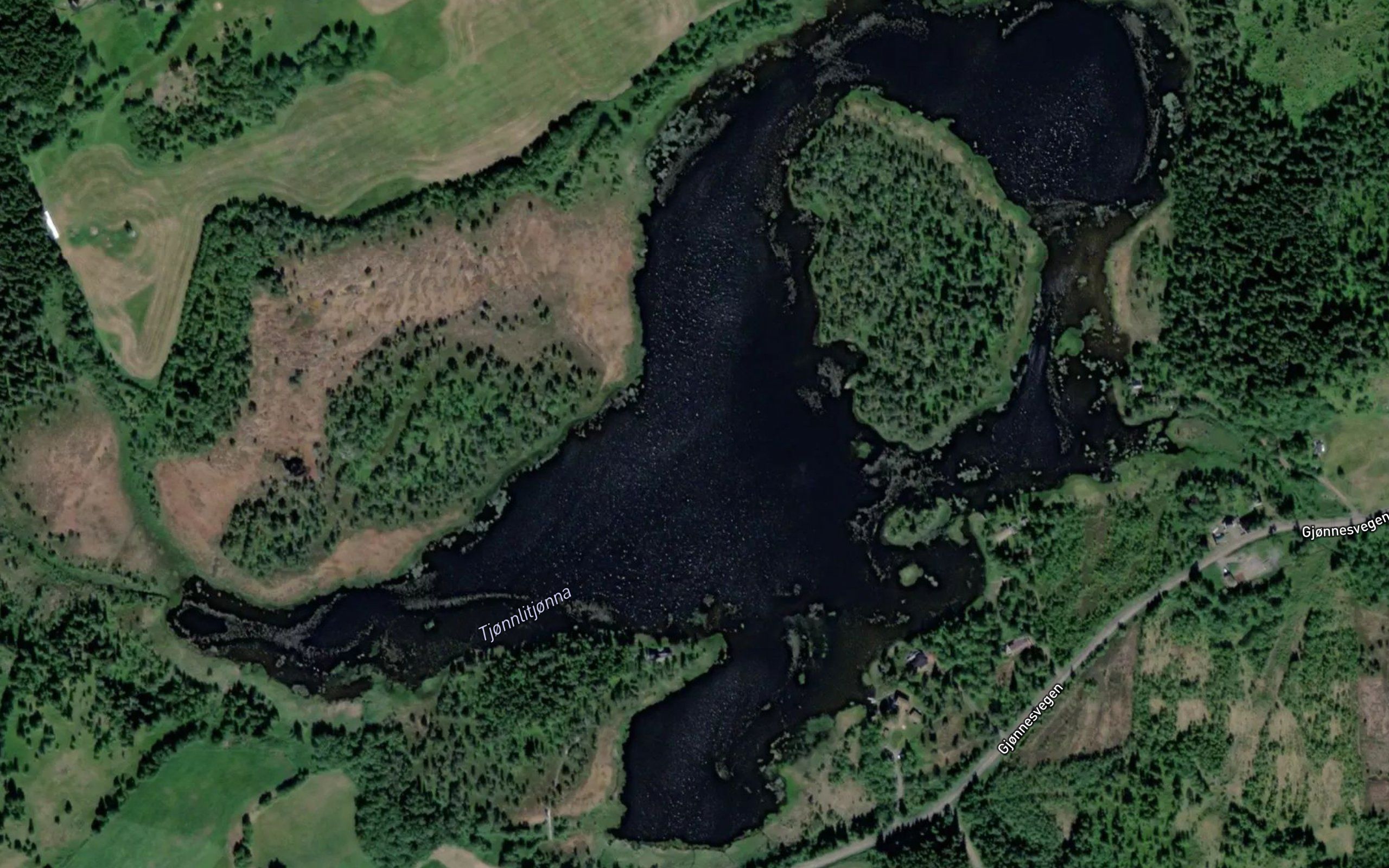 Kjonnlitjorna
