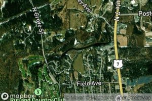 Patch Pond