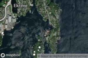 Seienesvika