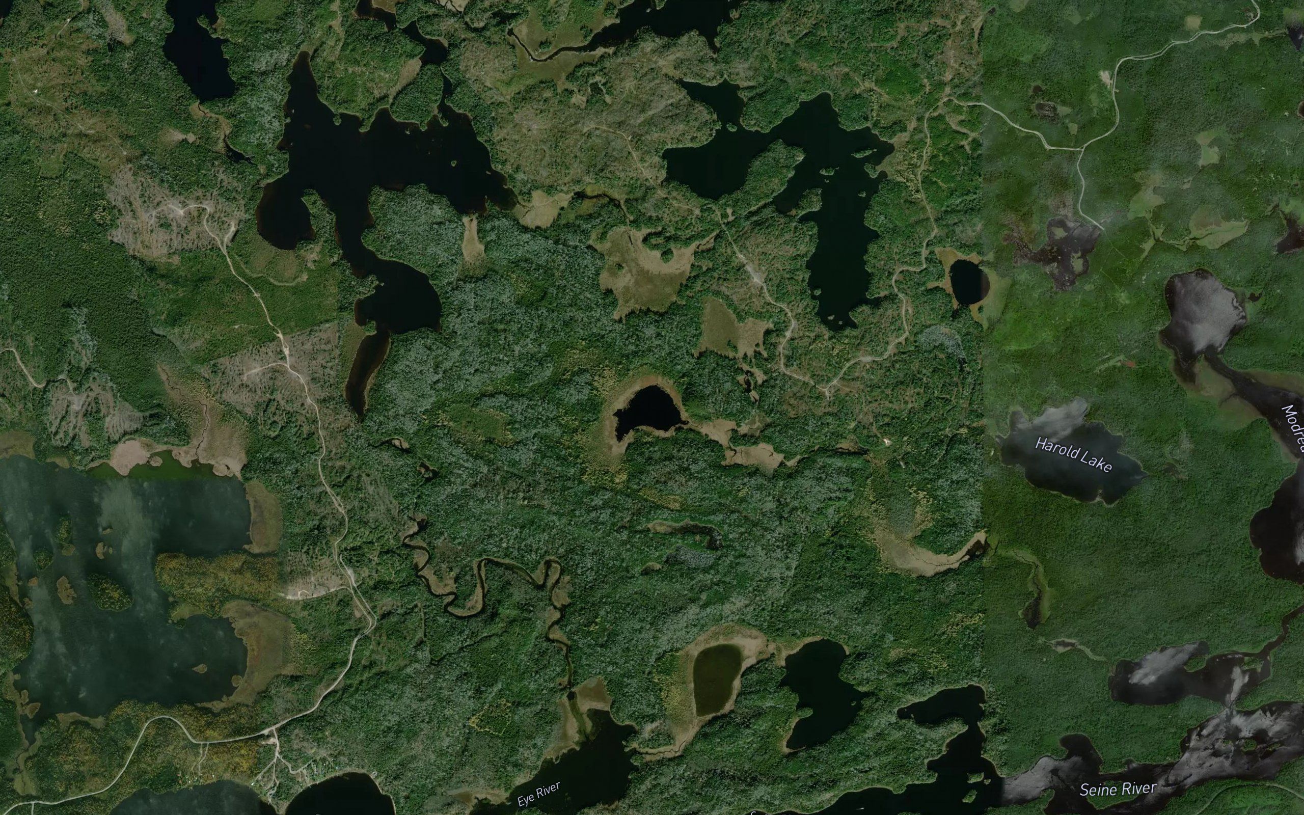 Tea Lake