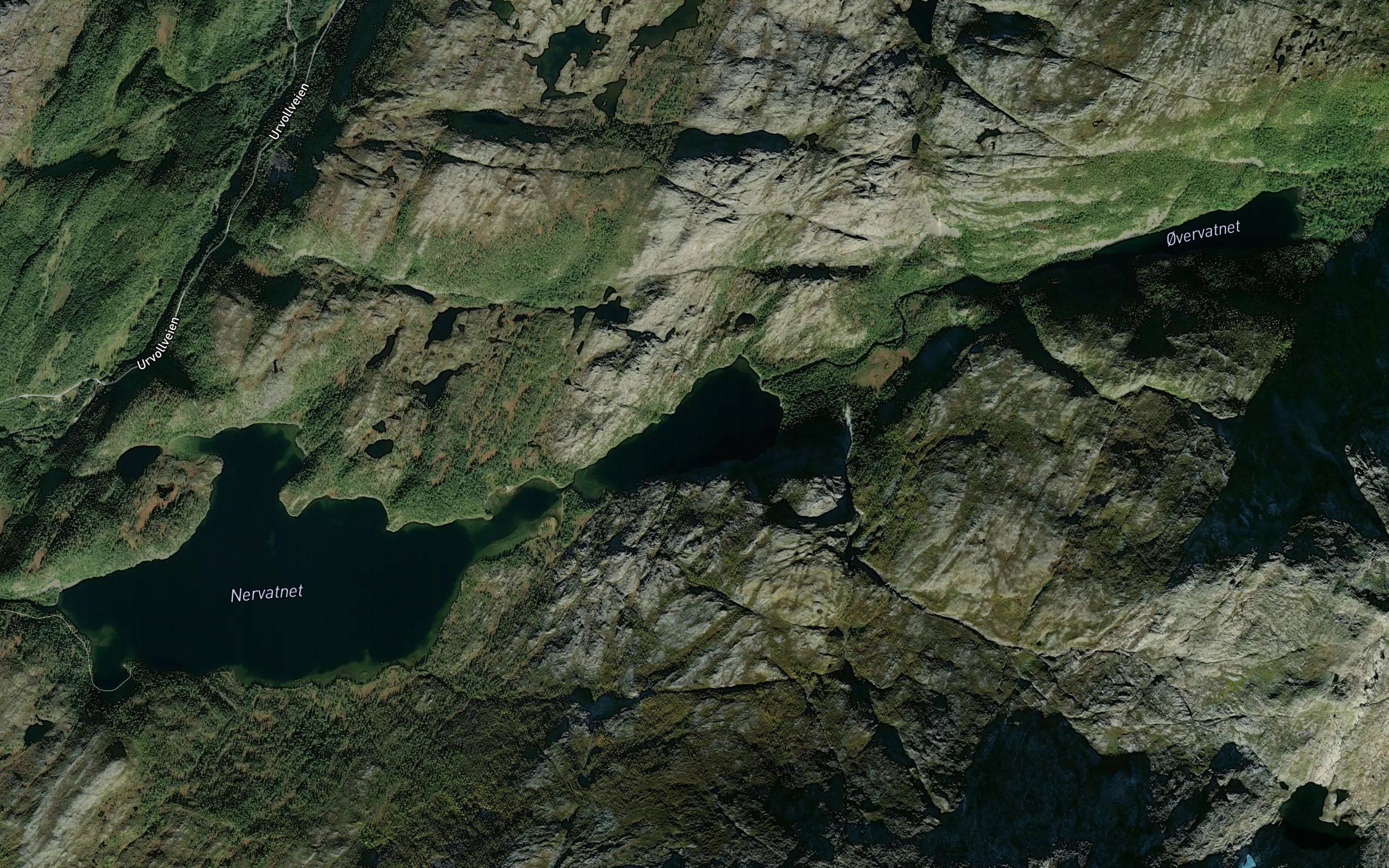 Millavatnet