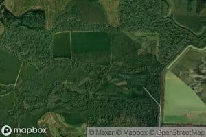 Hickory Plains Creek