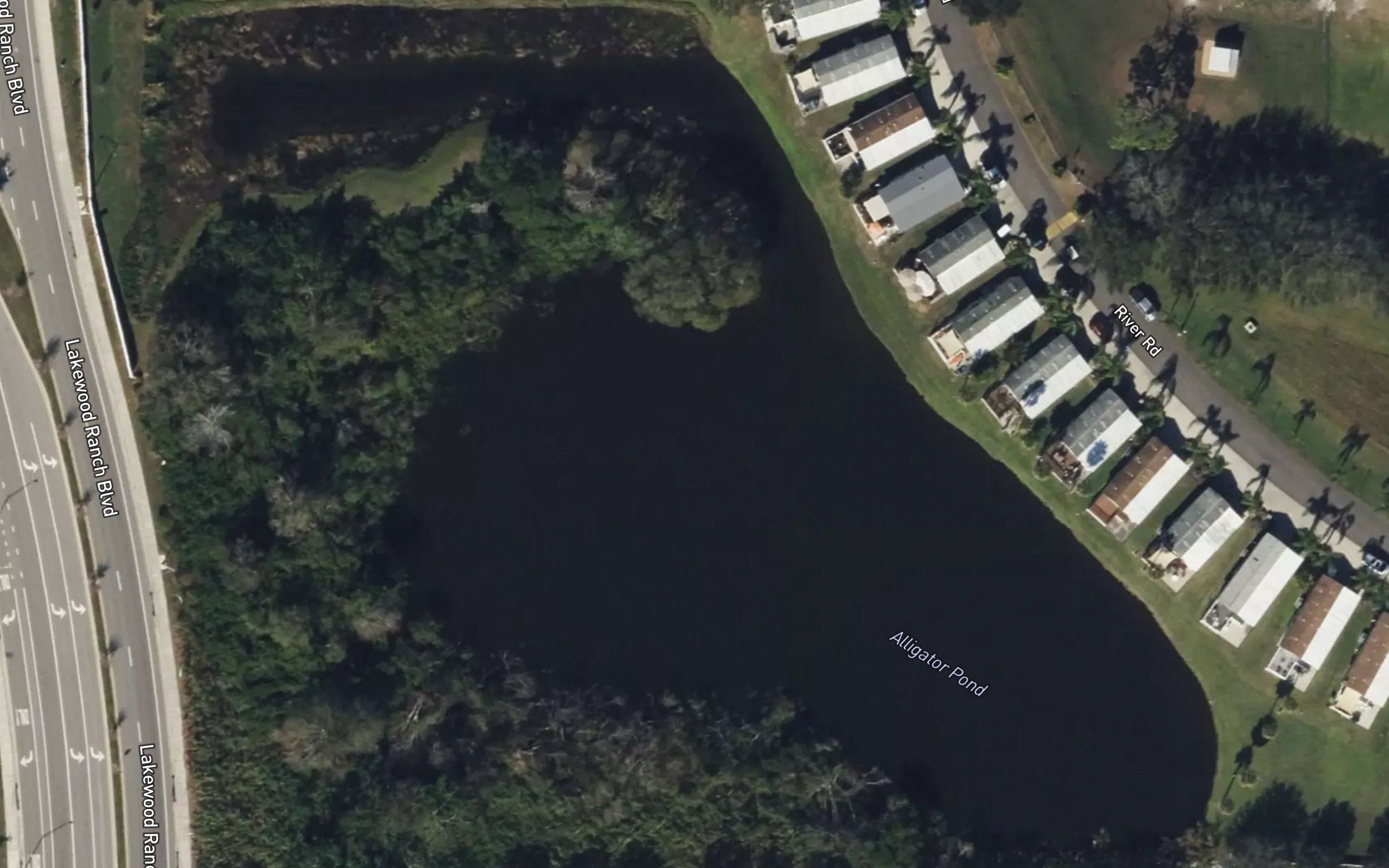Alligator Pond
