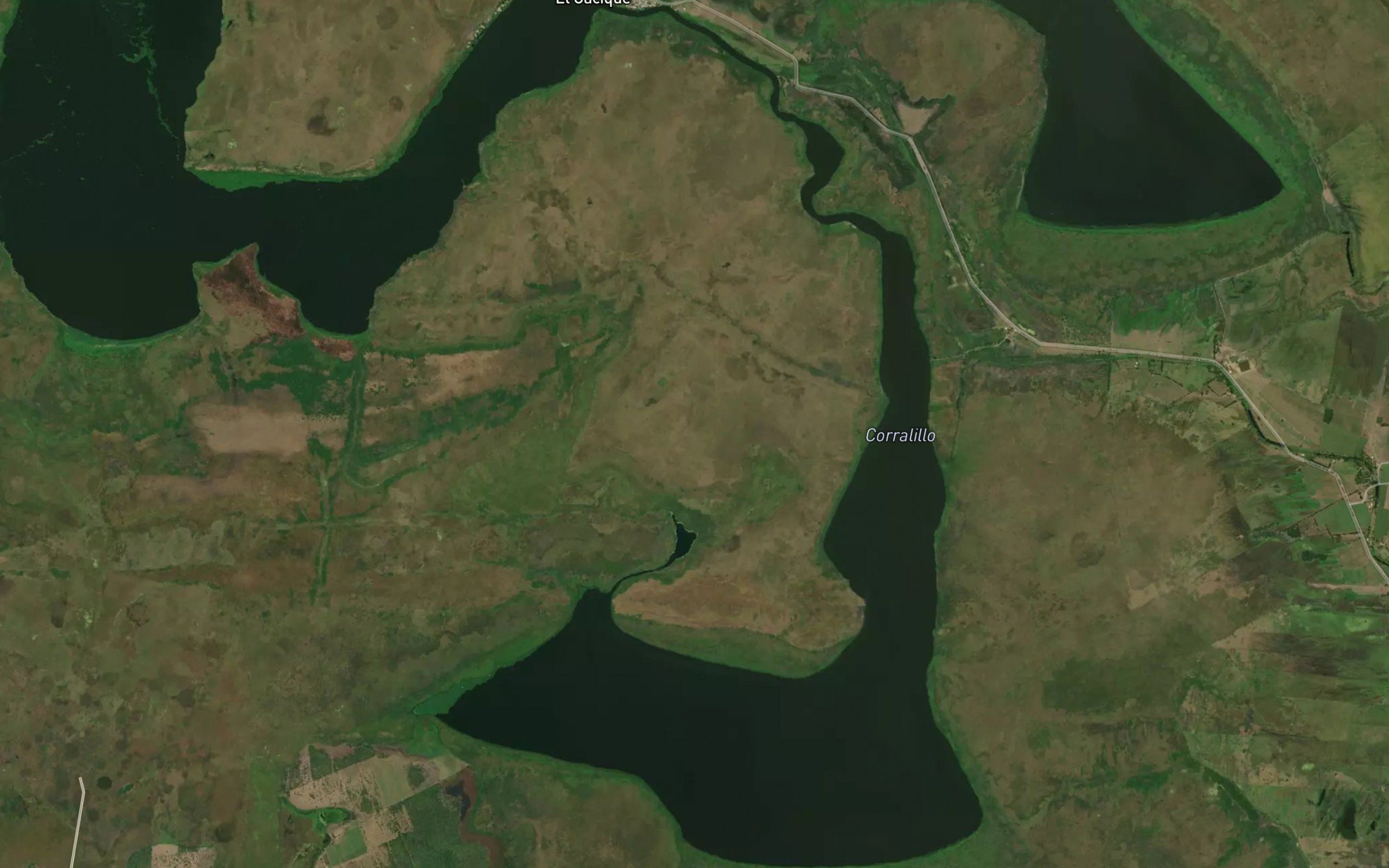 Laguna Corralillo