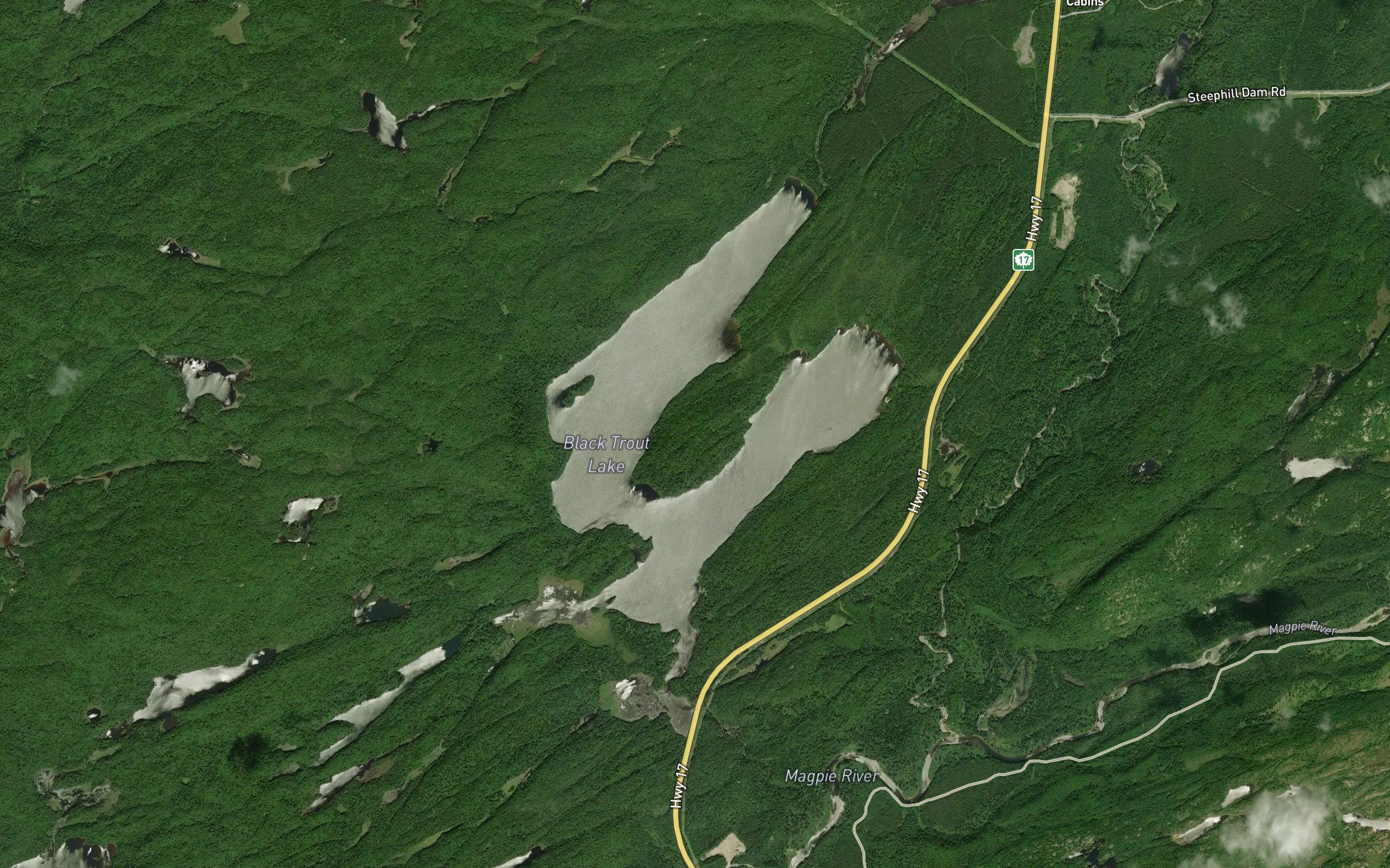 Black Trout Lake