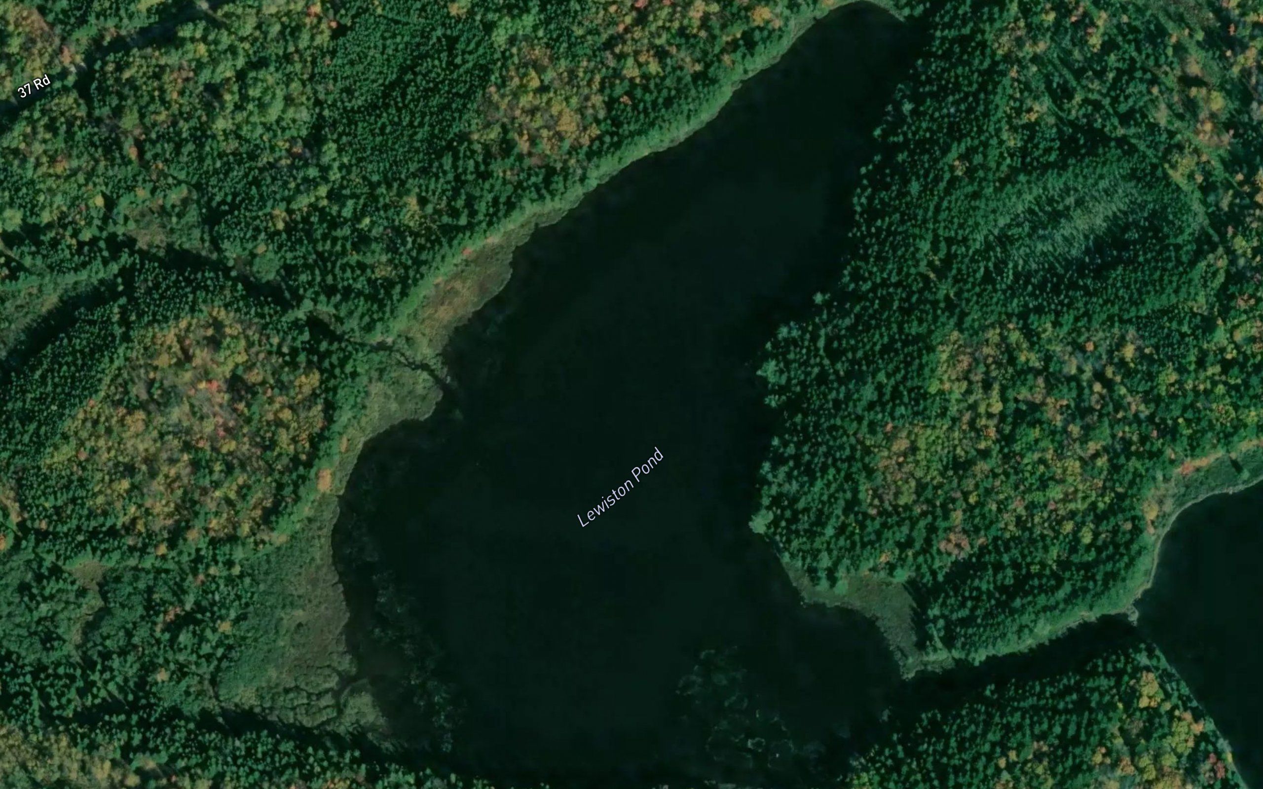 Lewiston Pond