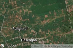 Sungai Kedawung