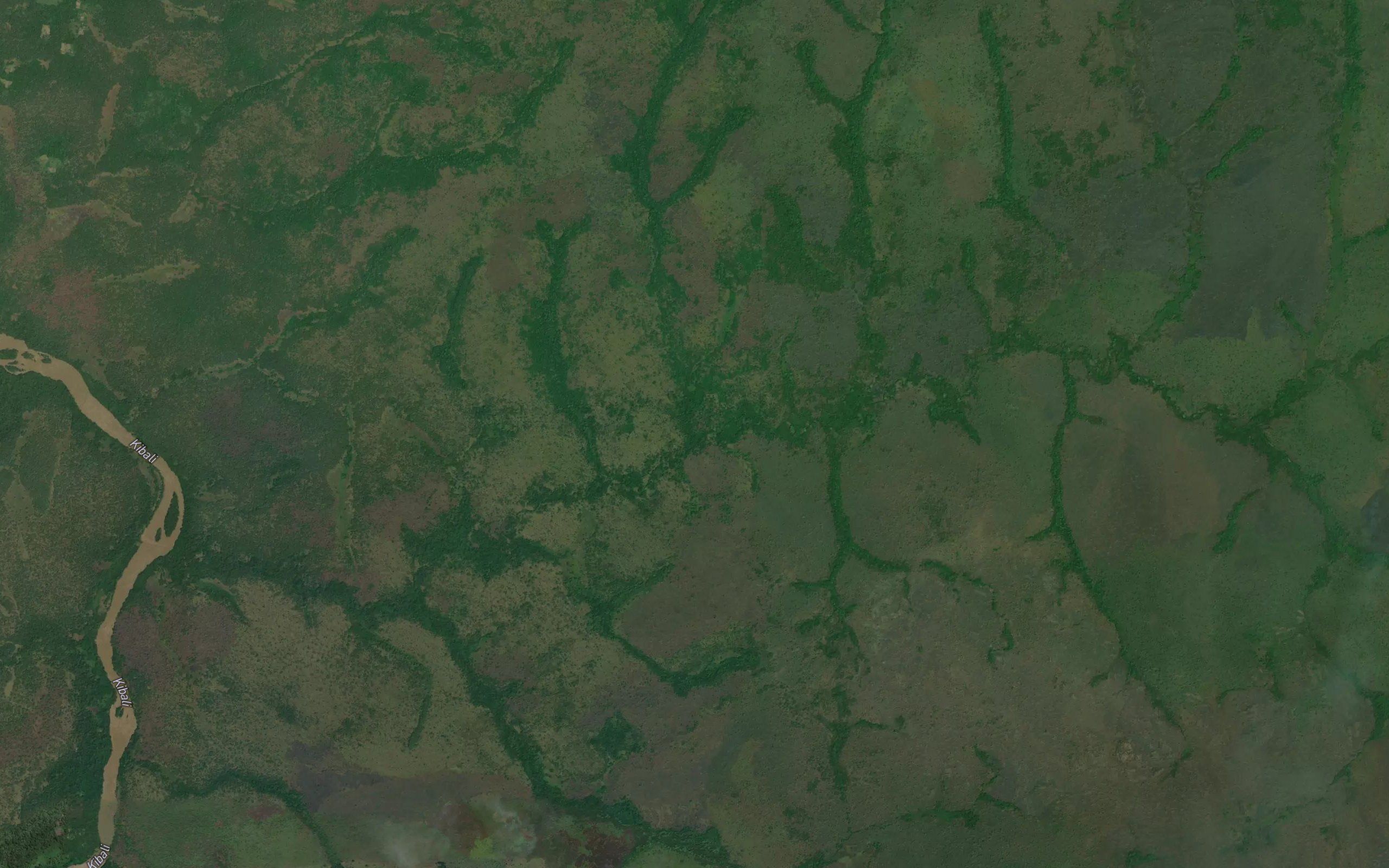 Ngbalia