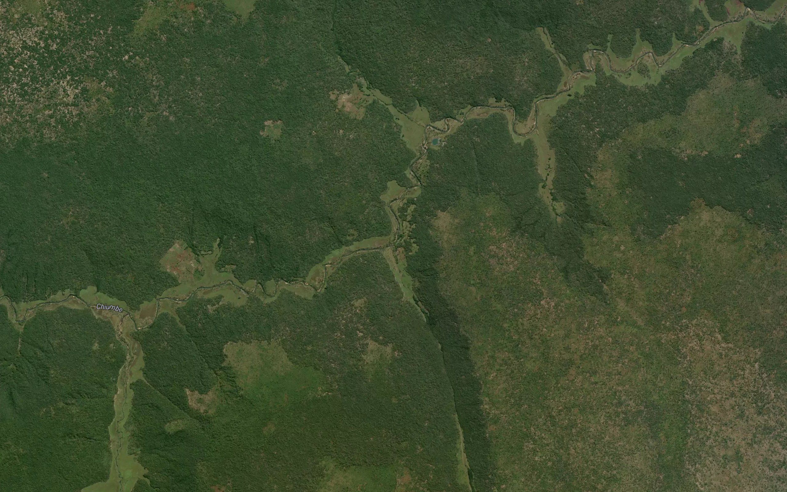 Tchifula