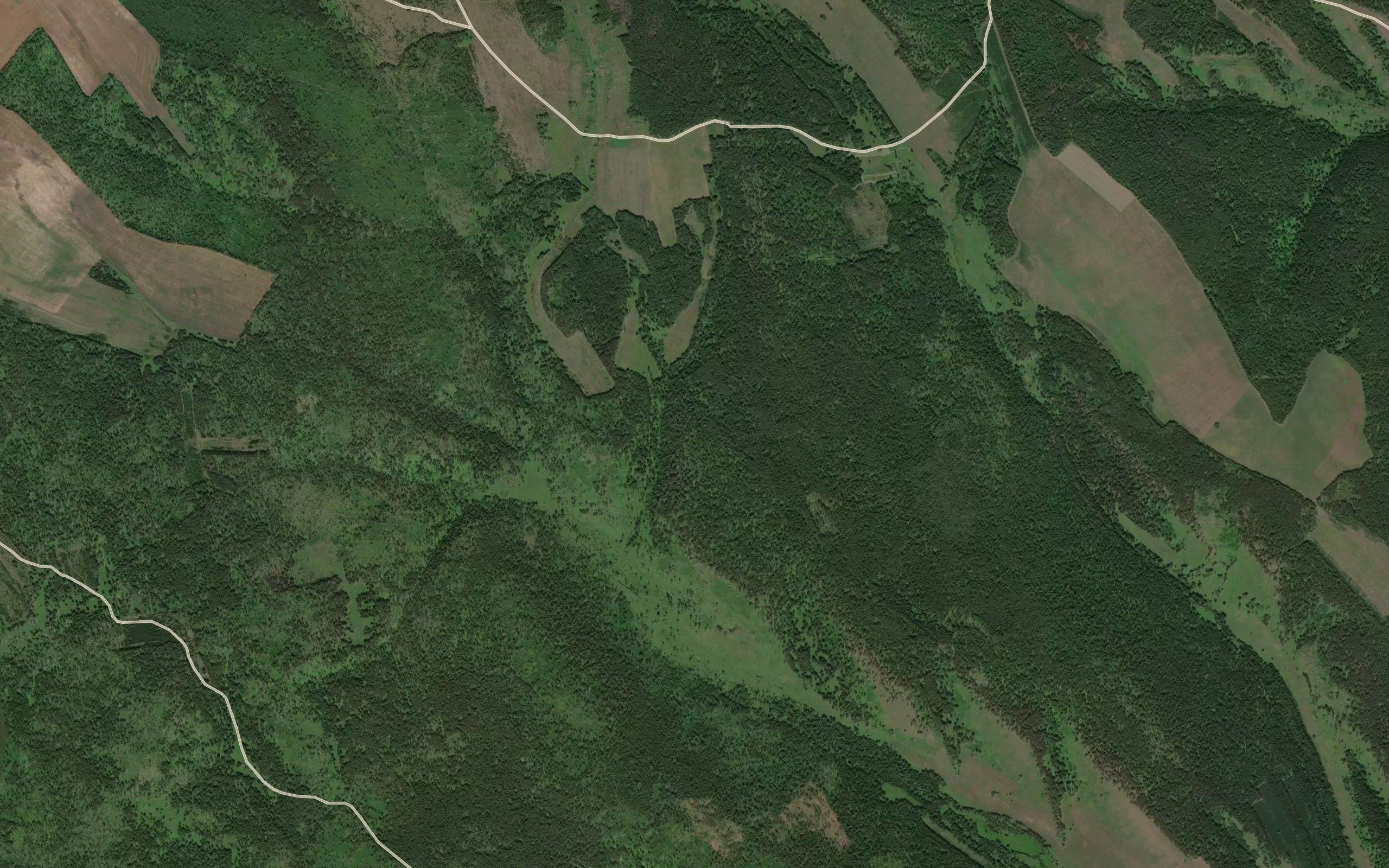Pad' Lapsalka
