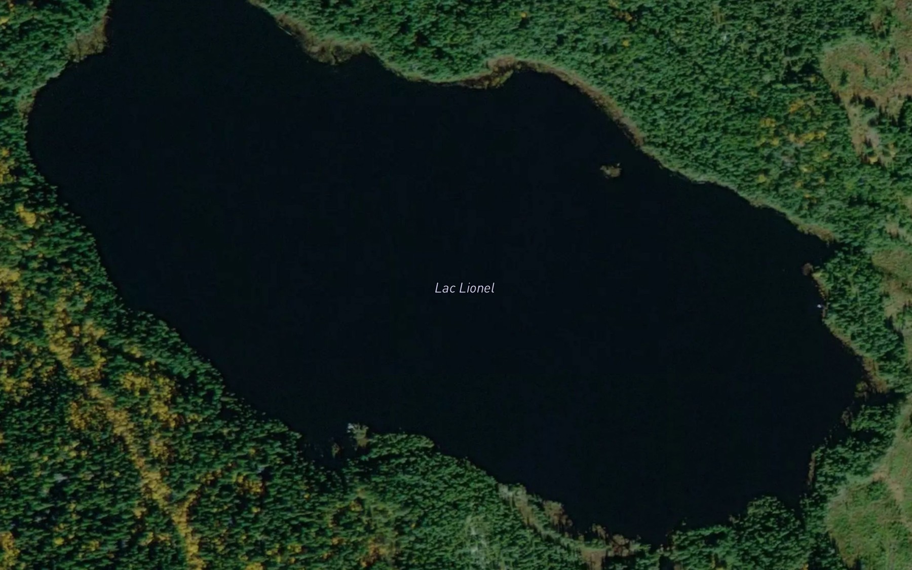 Satellite map of the Lac Lionel