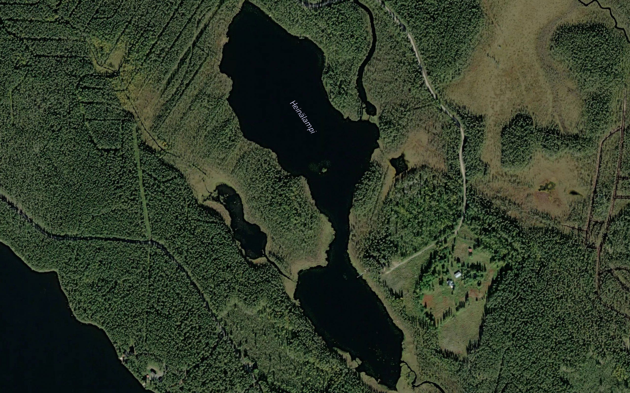 Heinalampi