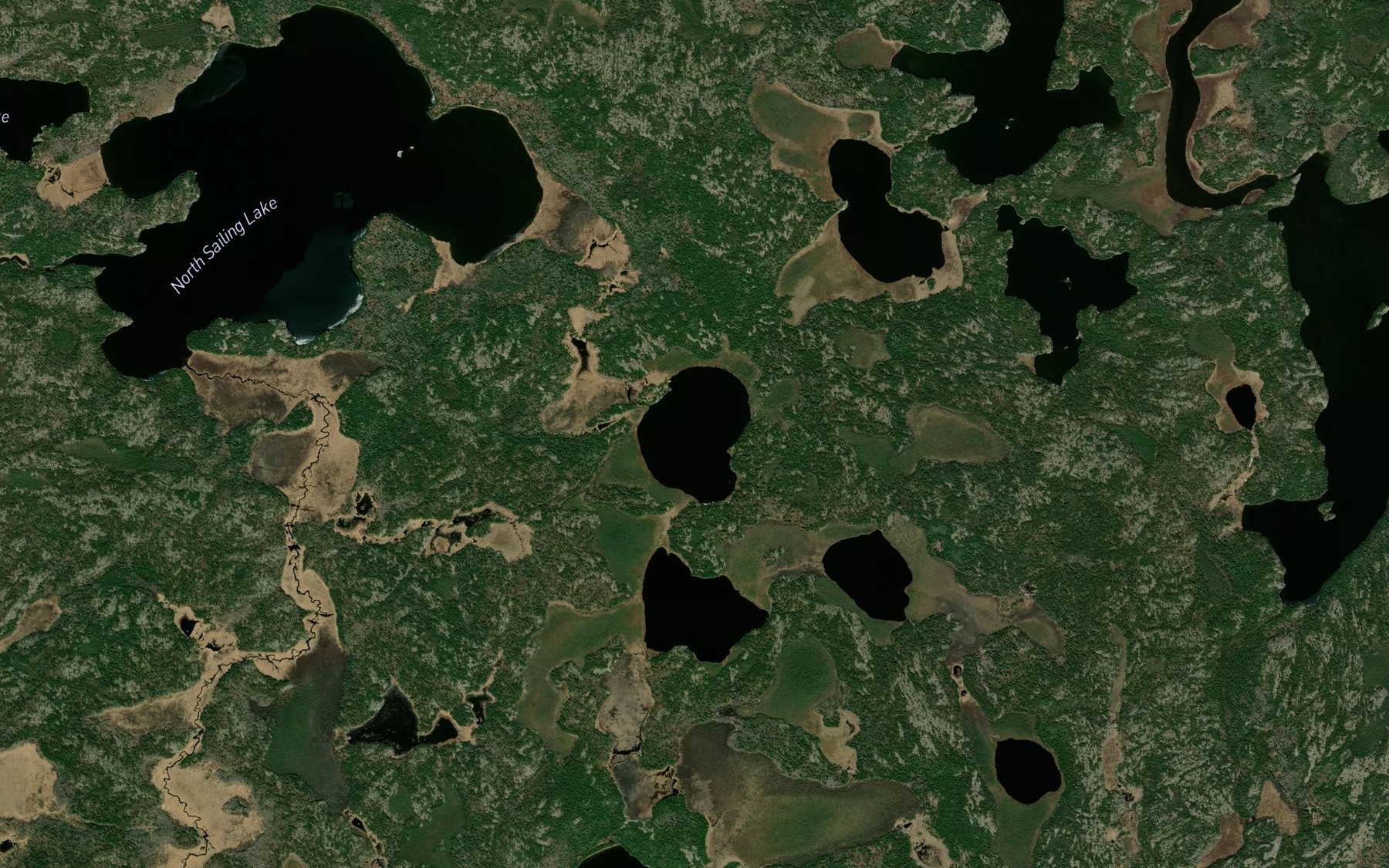 Satellite map of the Segal Lake