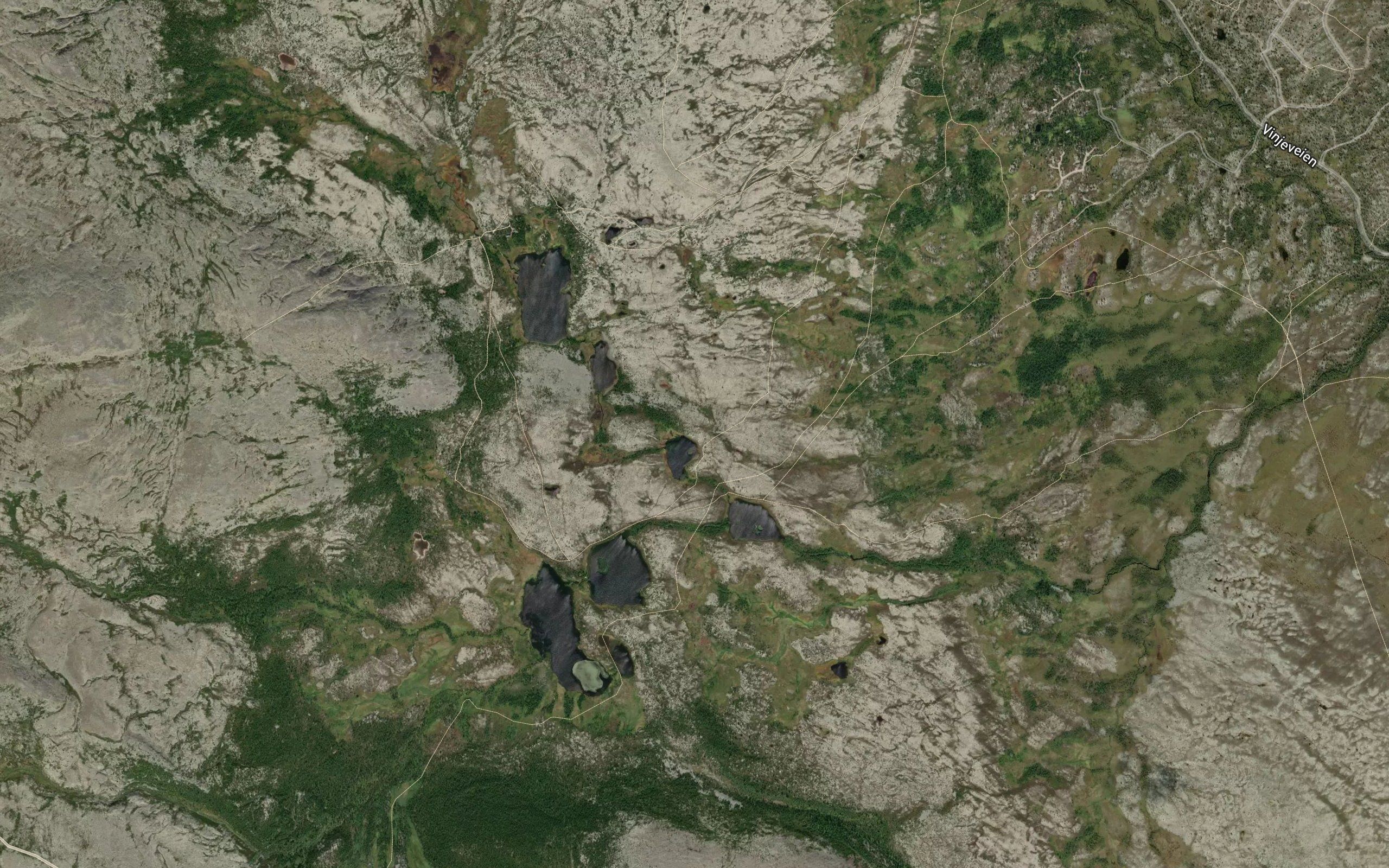 Negardstjornane