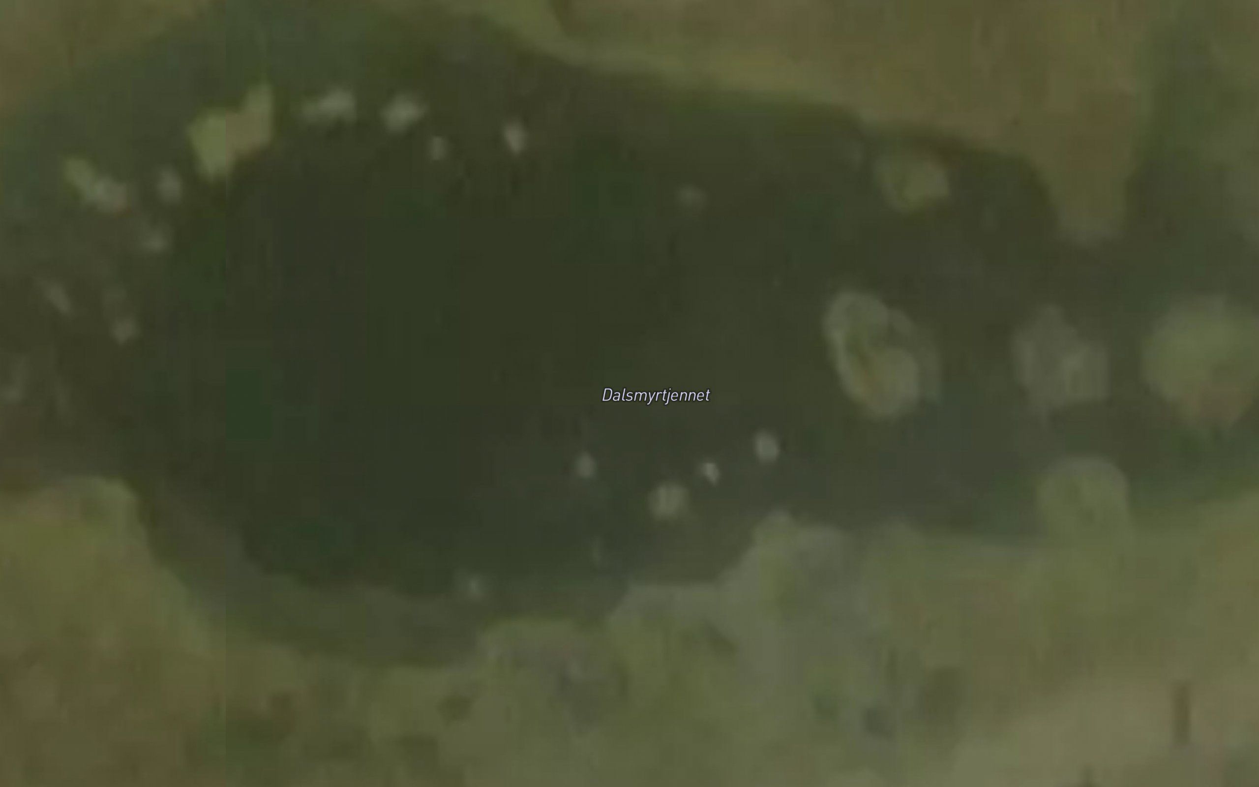 Dalsmyrtjennet