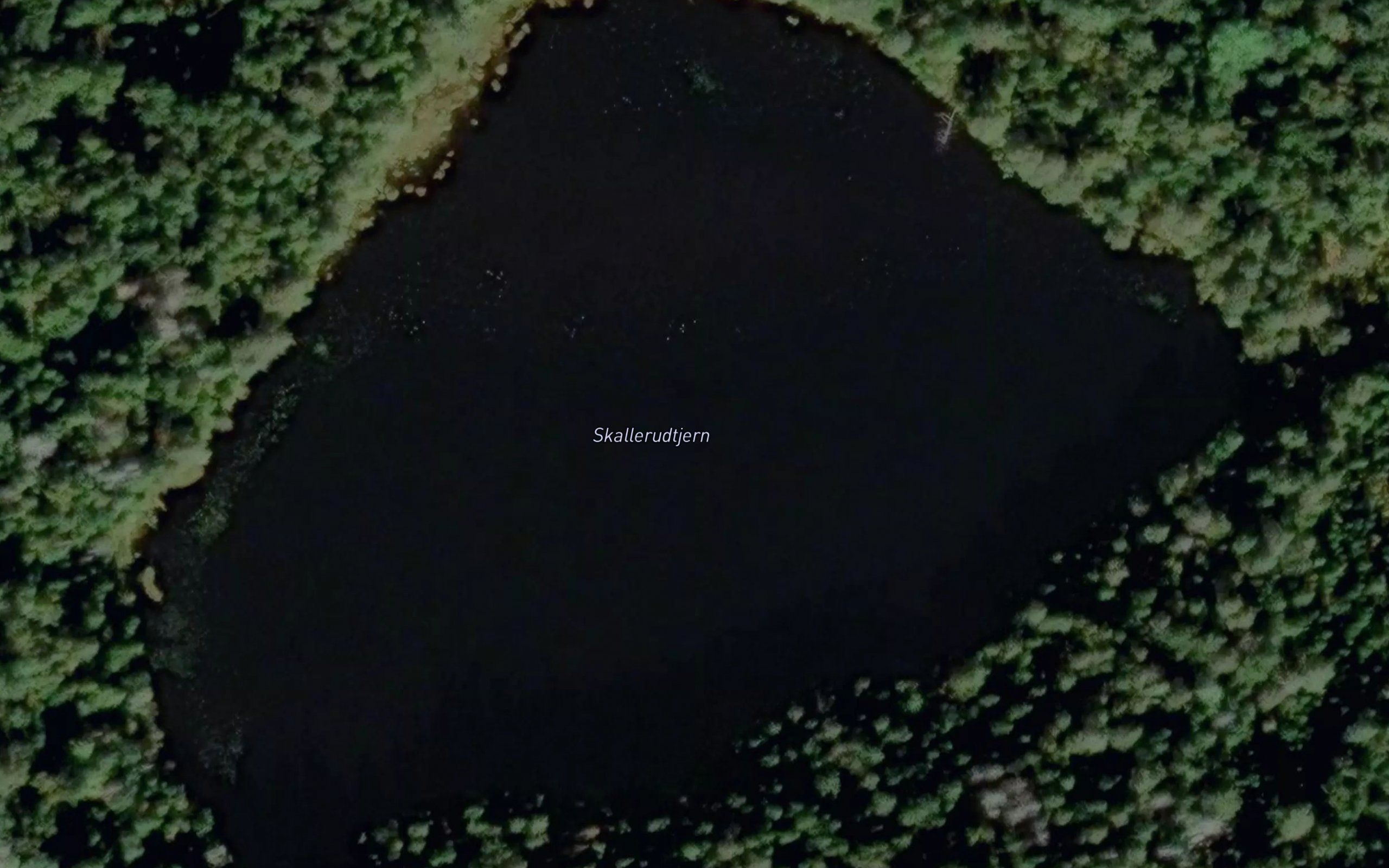 Skallerudtjern