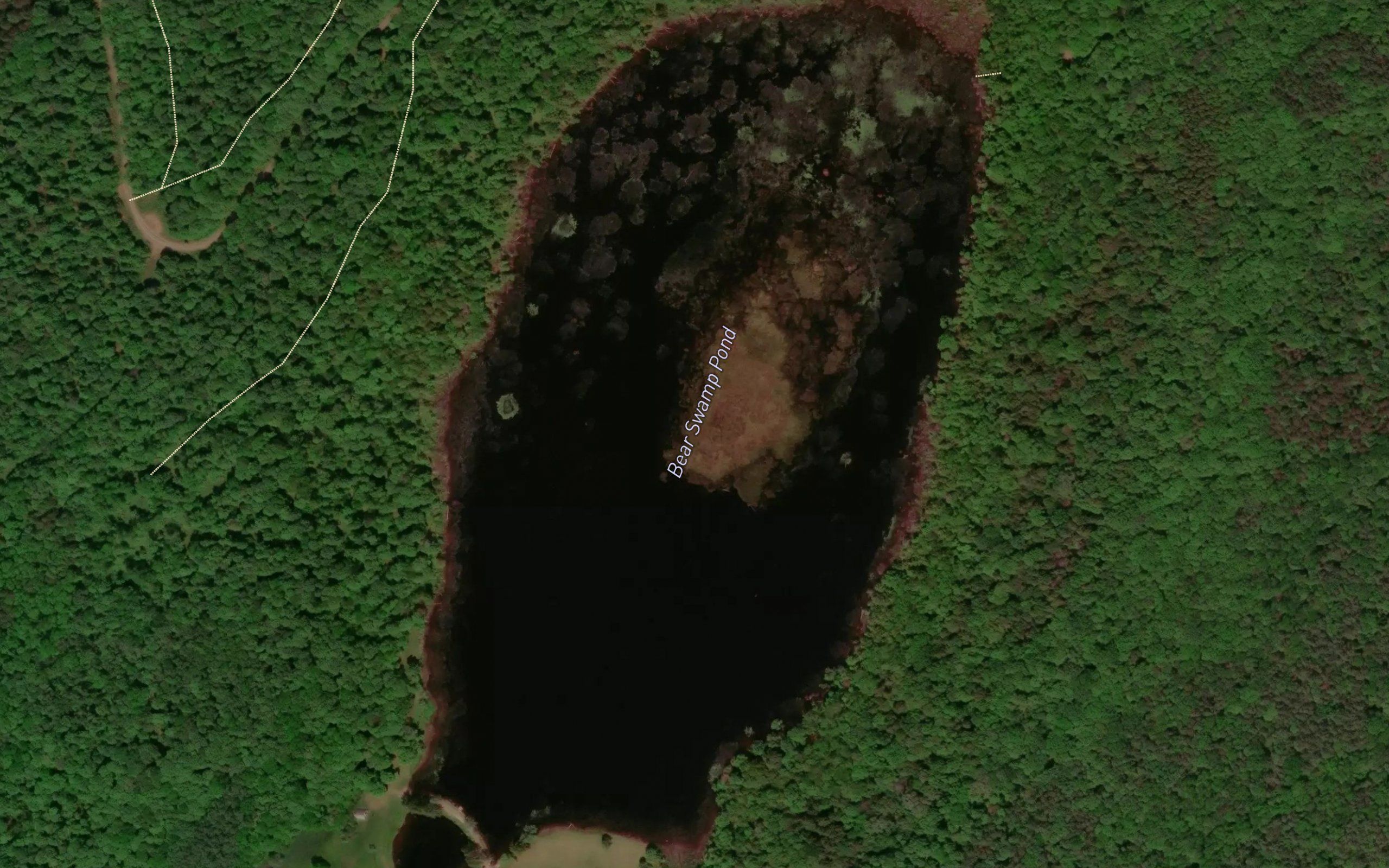 Bear Swamp Pond