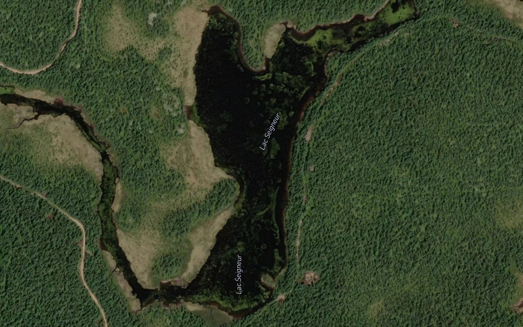 Satellite map of the Lac Seigneur