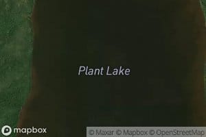 Plant Lake