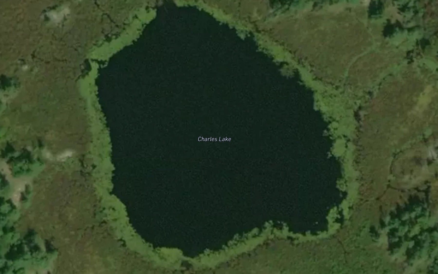 Satellite map of the Charles Lake