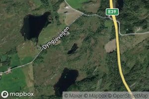 Skjortetjorna