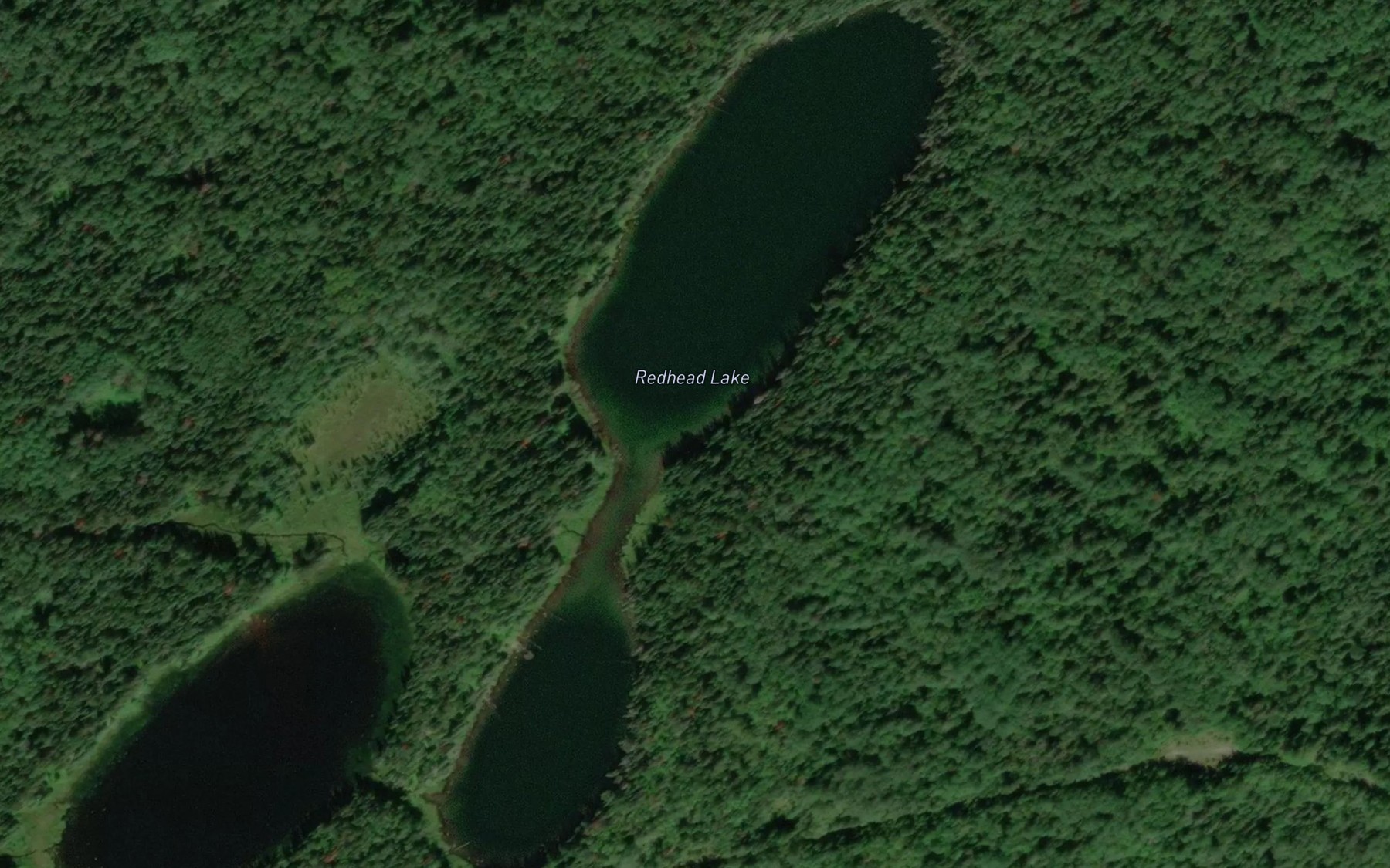 Satellite map of the Redhead Lake