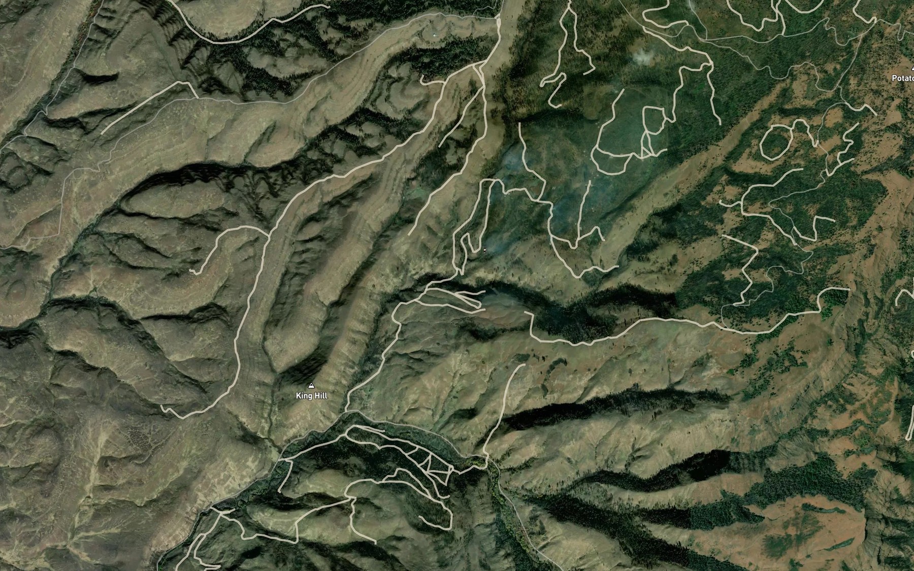 Satellite map of the East Fork King Hill Creek