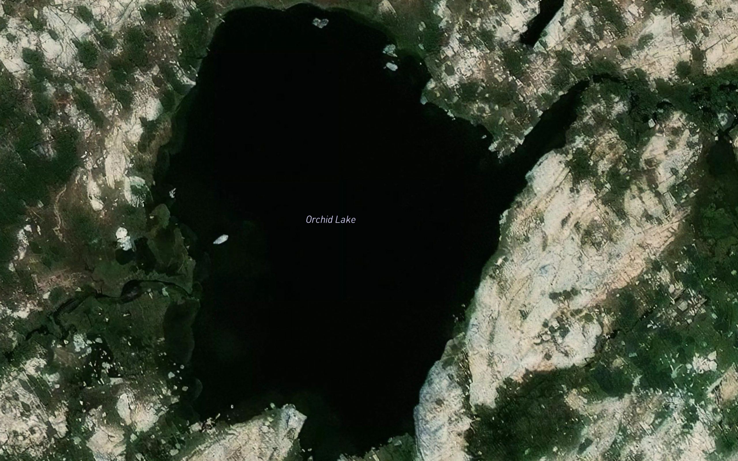 Orchid Lake