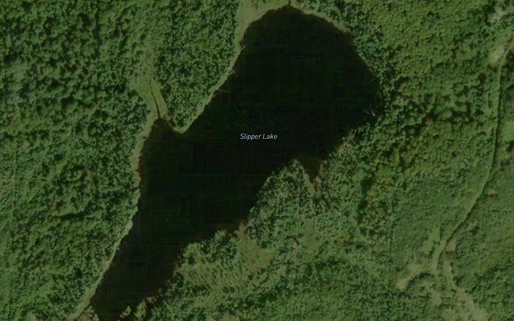 Satellite map of the Slipper Lake
