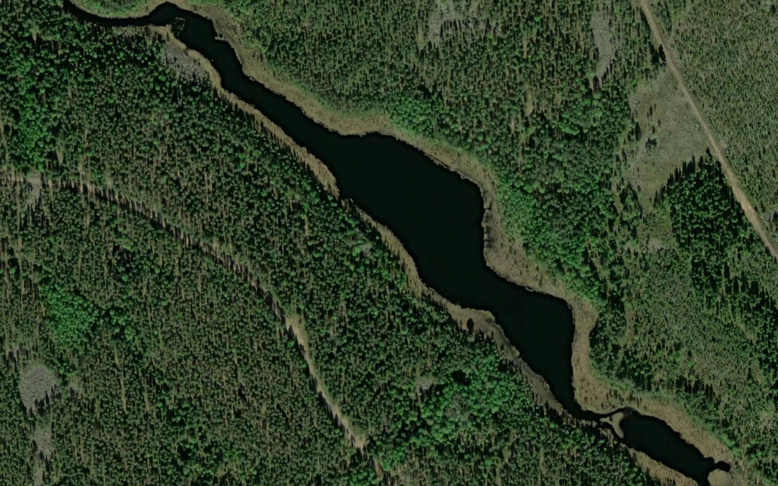 Pitkasenlampi