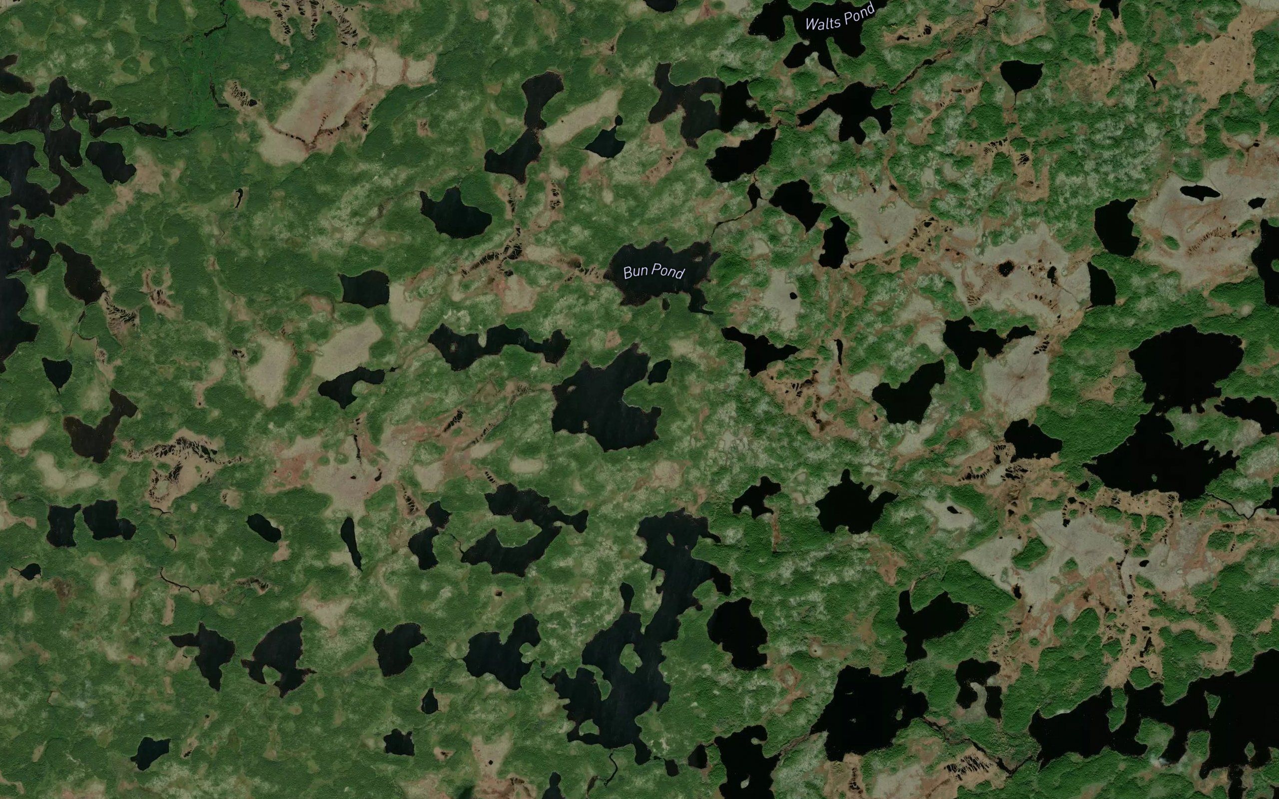 Bun Pond