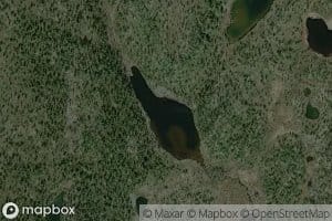 Koskamus Peskijaavras