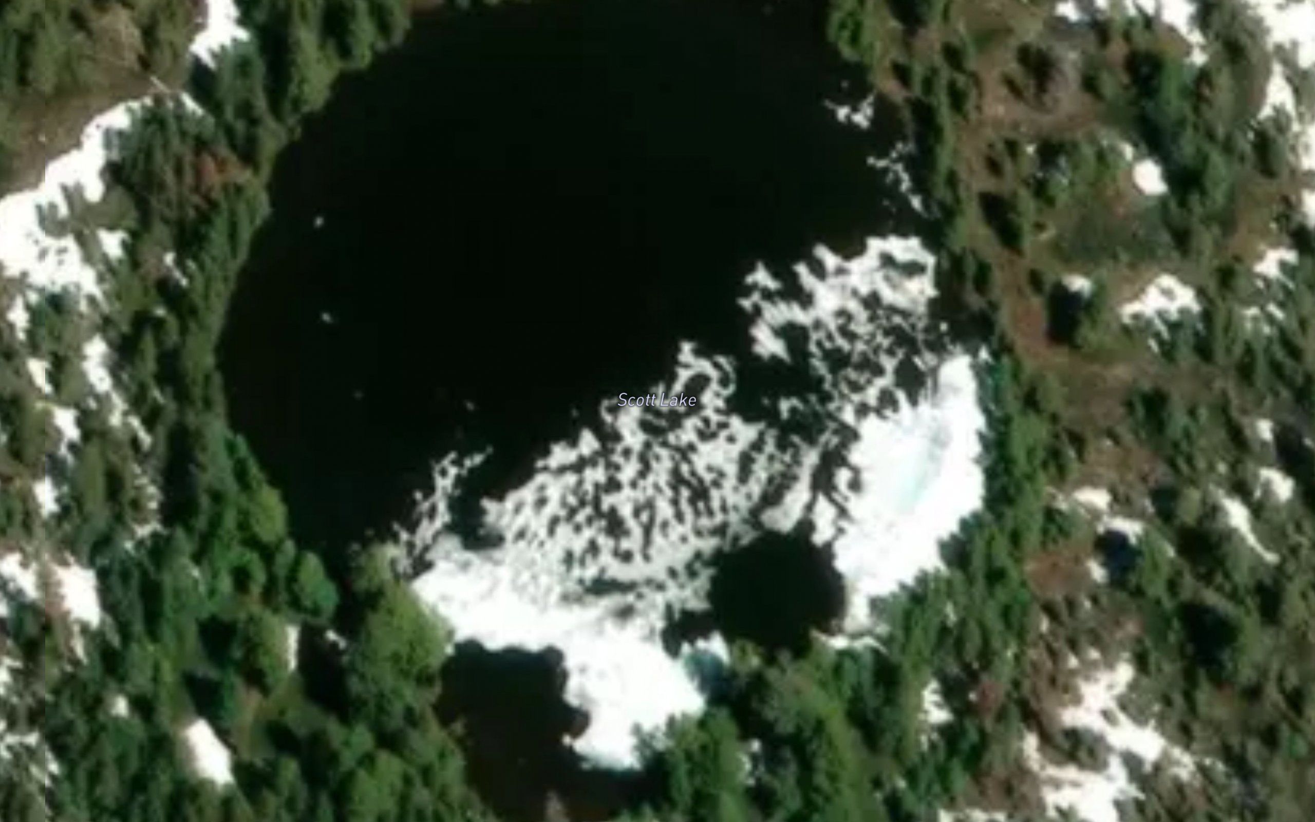 Scott Lake