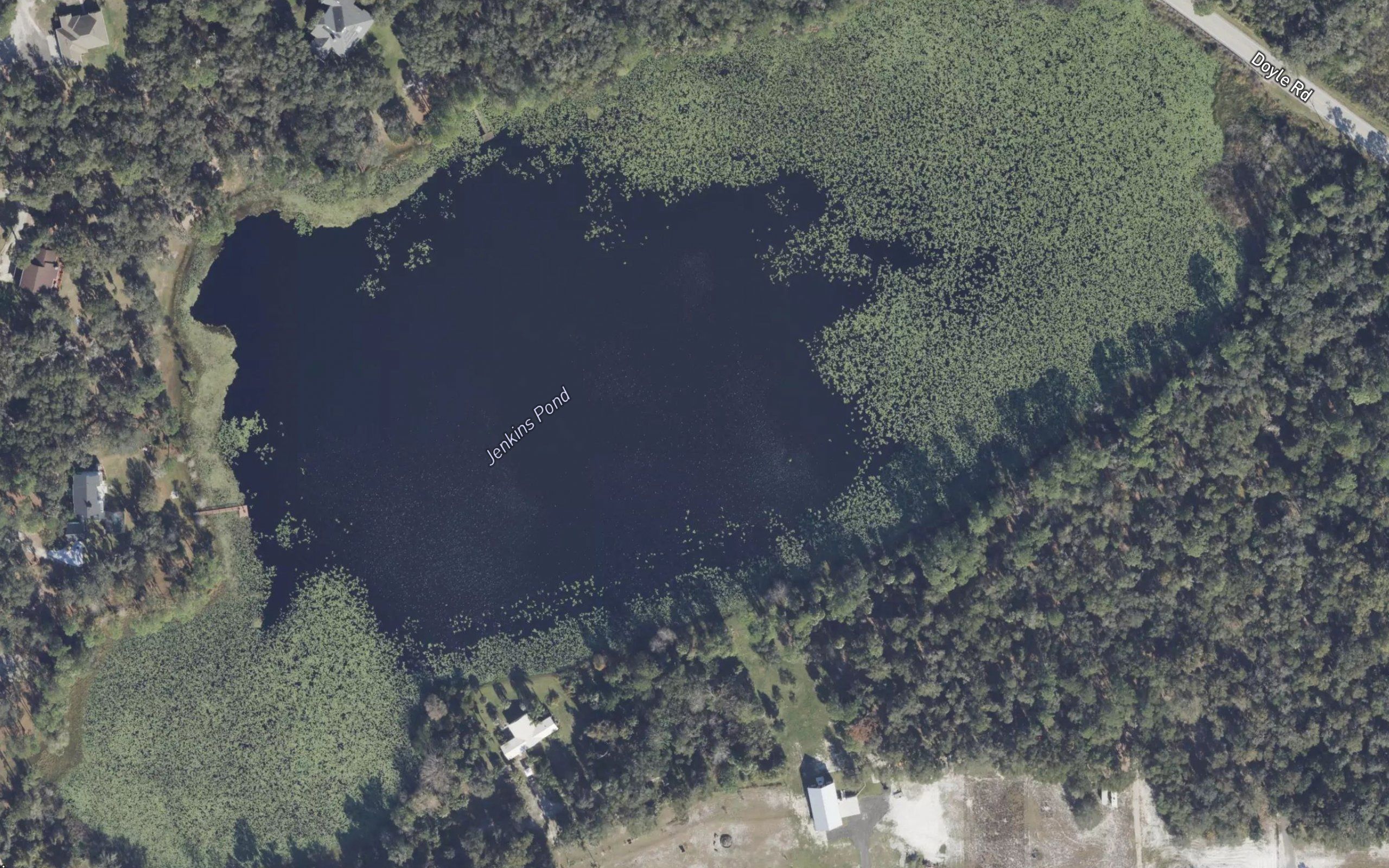 Jenkins Pond