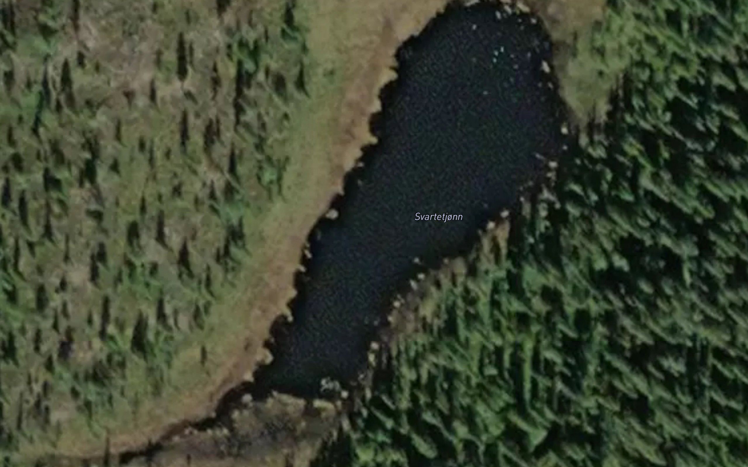 Svartetjonn